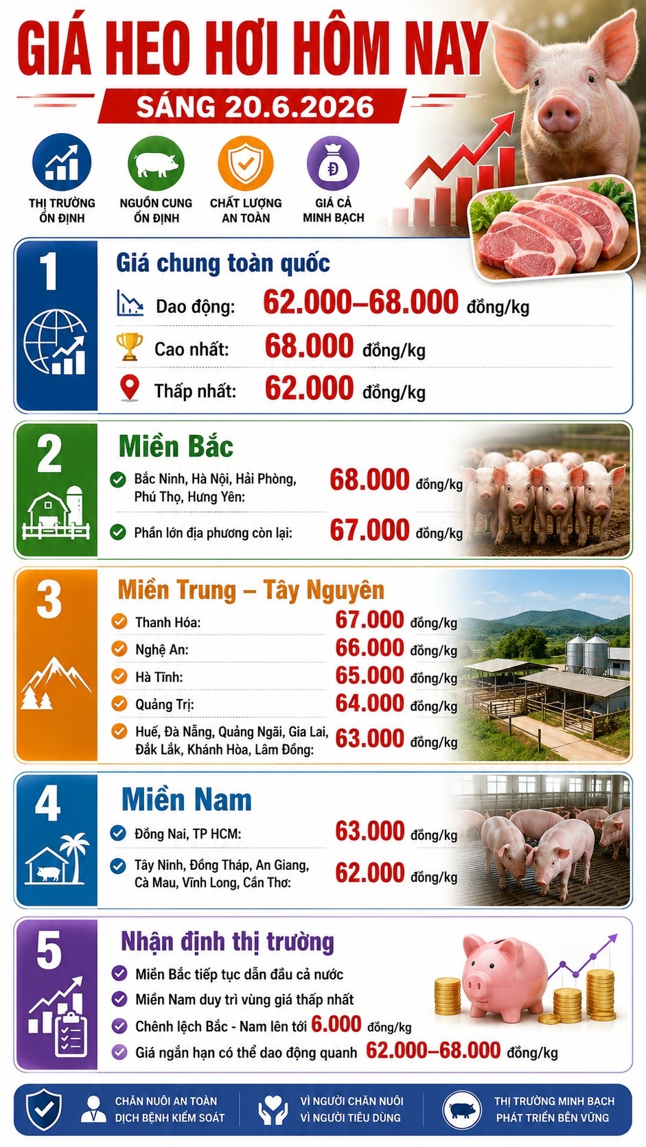 Giá heo hơi hôm nay 20.6: Miền Nam nhiều nơi còn 62.000 đồng/kg - ảnh 3