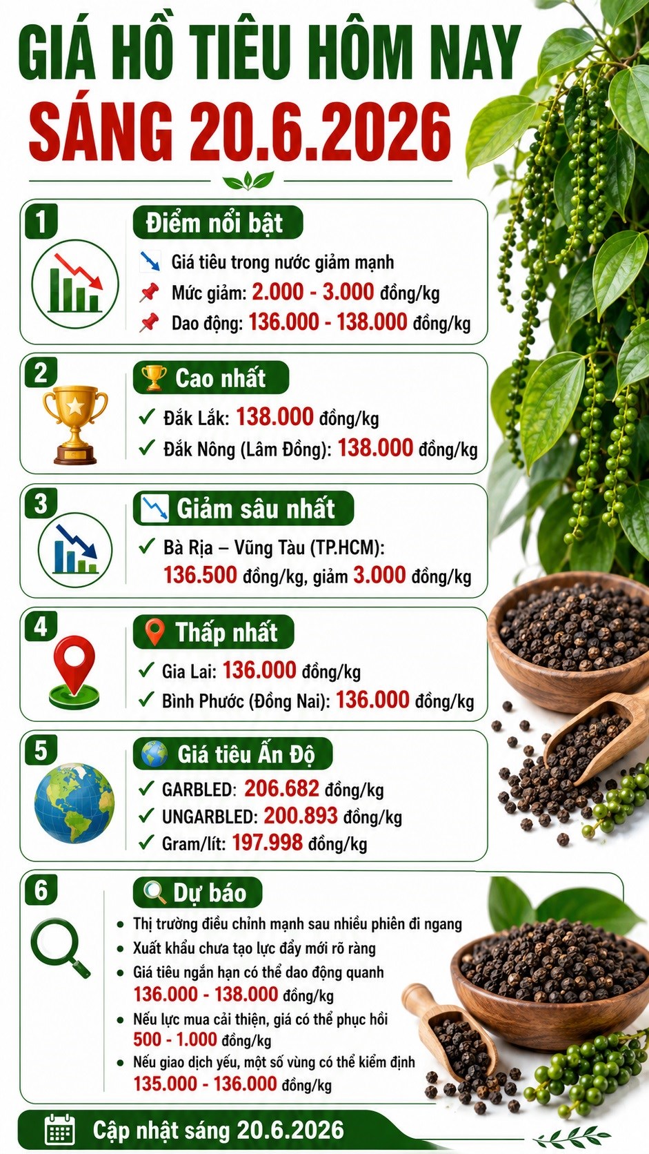 Giá hồ tiêu hôm nay 20.6: Giảm mạnh, cao nhất còn 138.000 đồng/kg - ảnh 3