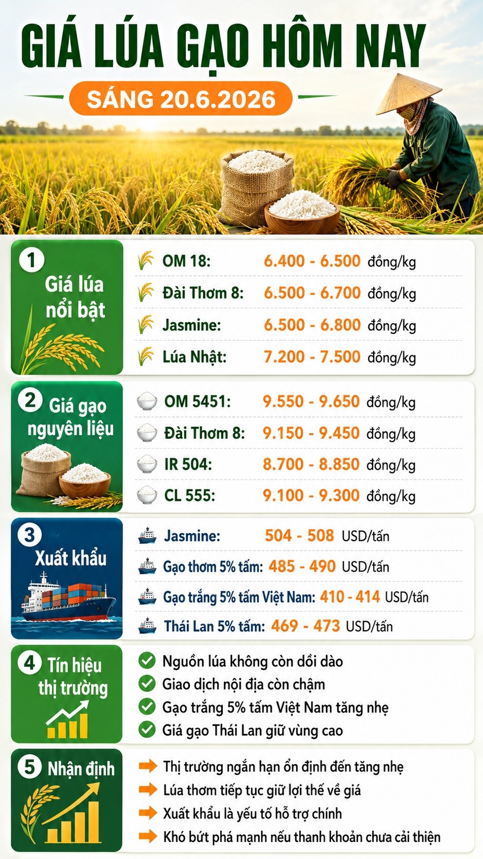 Giá lúa gạo hôm nay 20.6.2026: Nguồn lúa ít, giá nhích nhẹ ở nhiều nơi - ảnh 3