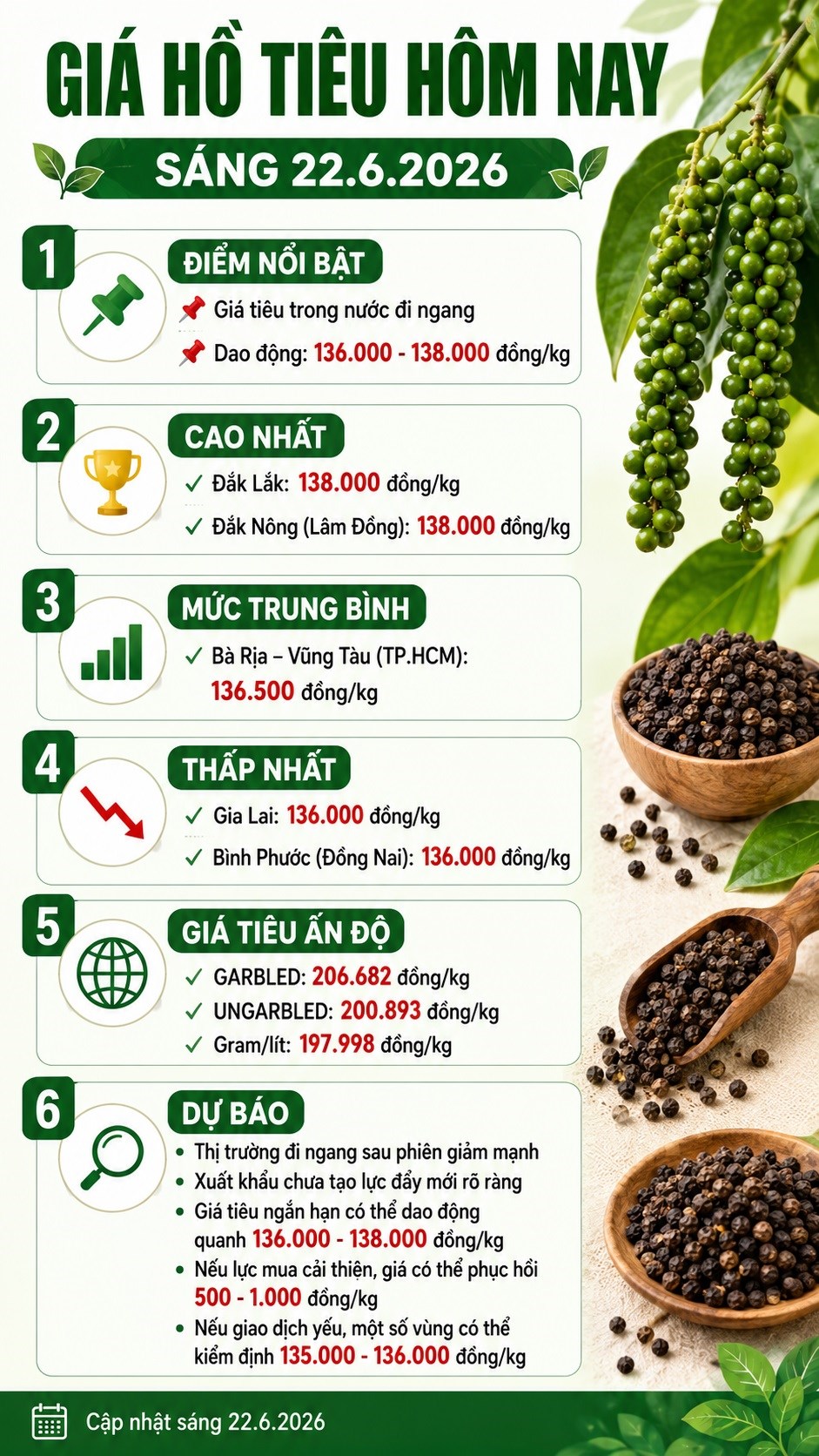 Giá hồ tiêu hôm nay 22.6: Thị trường đi ngang, chờ tín hiệu mới từ xuất khẩu - ảnh 3