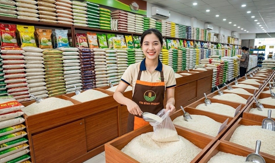 Giá lúa gạo hôm nay 22.6: Lúa trong nước ổn định, gạo xuất khẩu nhích nhẹ - ảnh 1