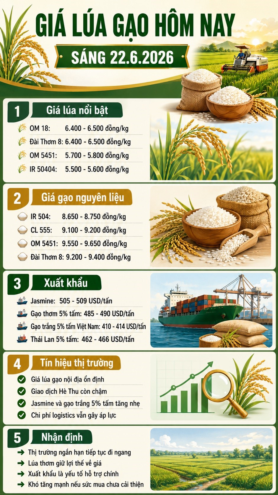 Giá lúa gạo hôm nay 22.6: Lúa trong nước ổn định, gạo xuất khẩu nhích nhẹ - ảnh 3