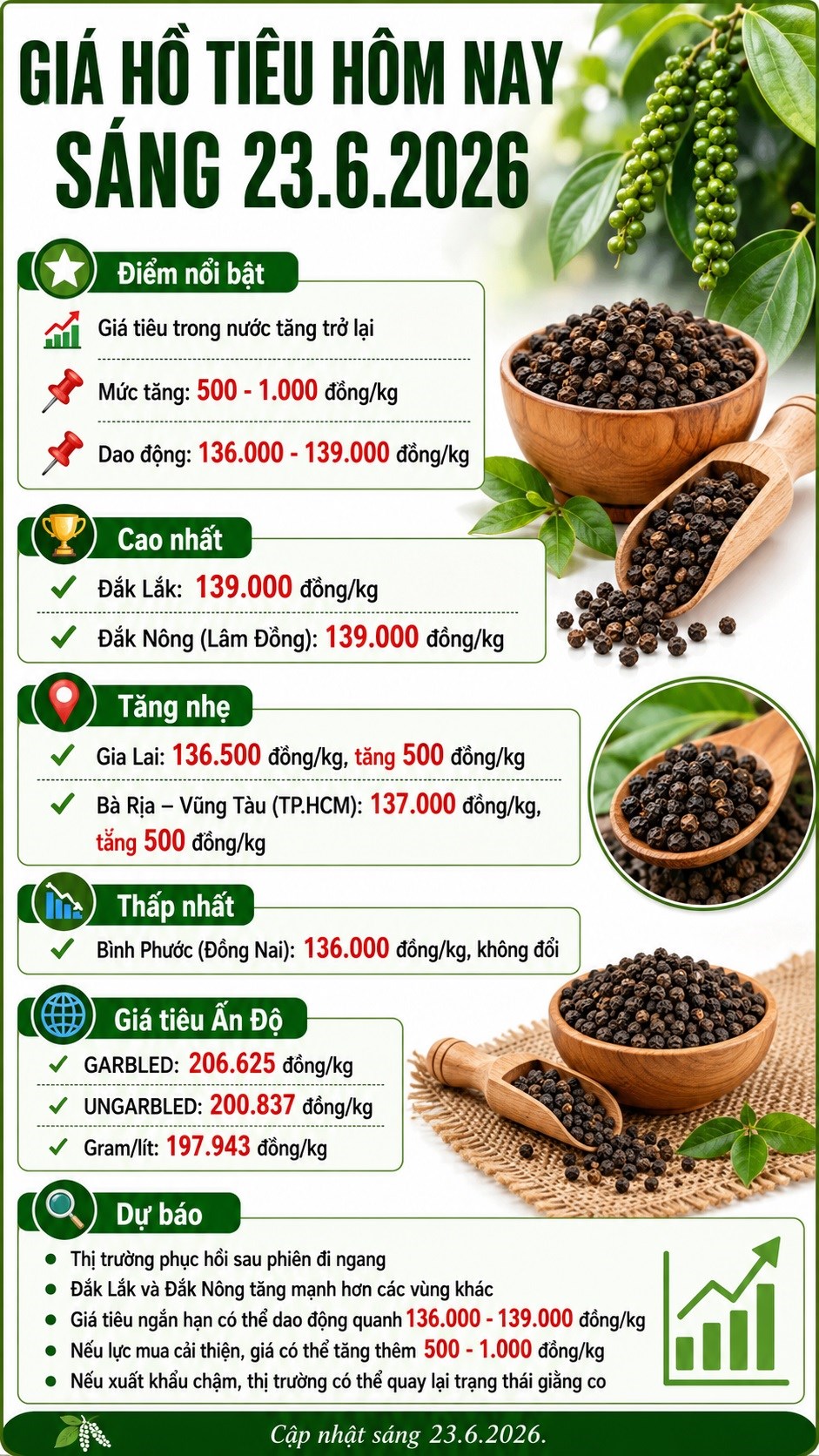 Giá hồ tiêu hôm nay 23.6: Nhiều vùng tăng 500 - 1.000 đồng/kg - ảnh 3