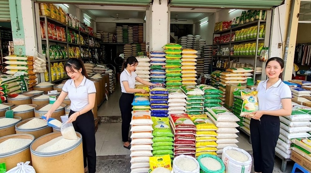 Giá lúa gạo hôm nay 23.6.2026: Lúa Nhật cao nhất 7.500 đồng/kg - ảnh 1