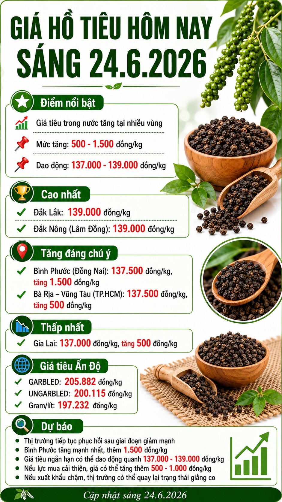 Giá hồ tiêu hôm nay 24.6: Nhiều nơi tăng tiếp, cao nhất 139.000 đồng/kg - ảnh 3