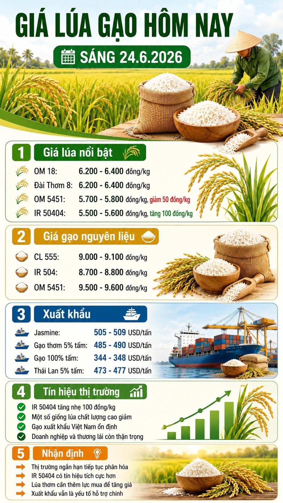 Giá lúa gạo hôm nay 24.6.2026: IR 50404 tăng, lúa thơm chịu áp lực - ảnh 3