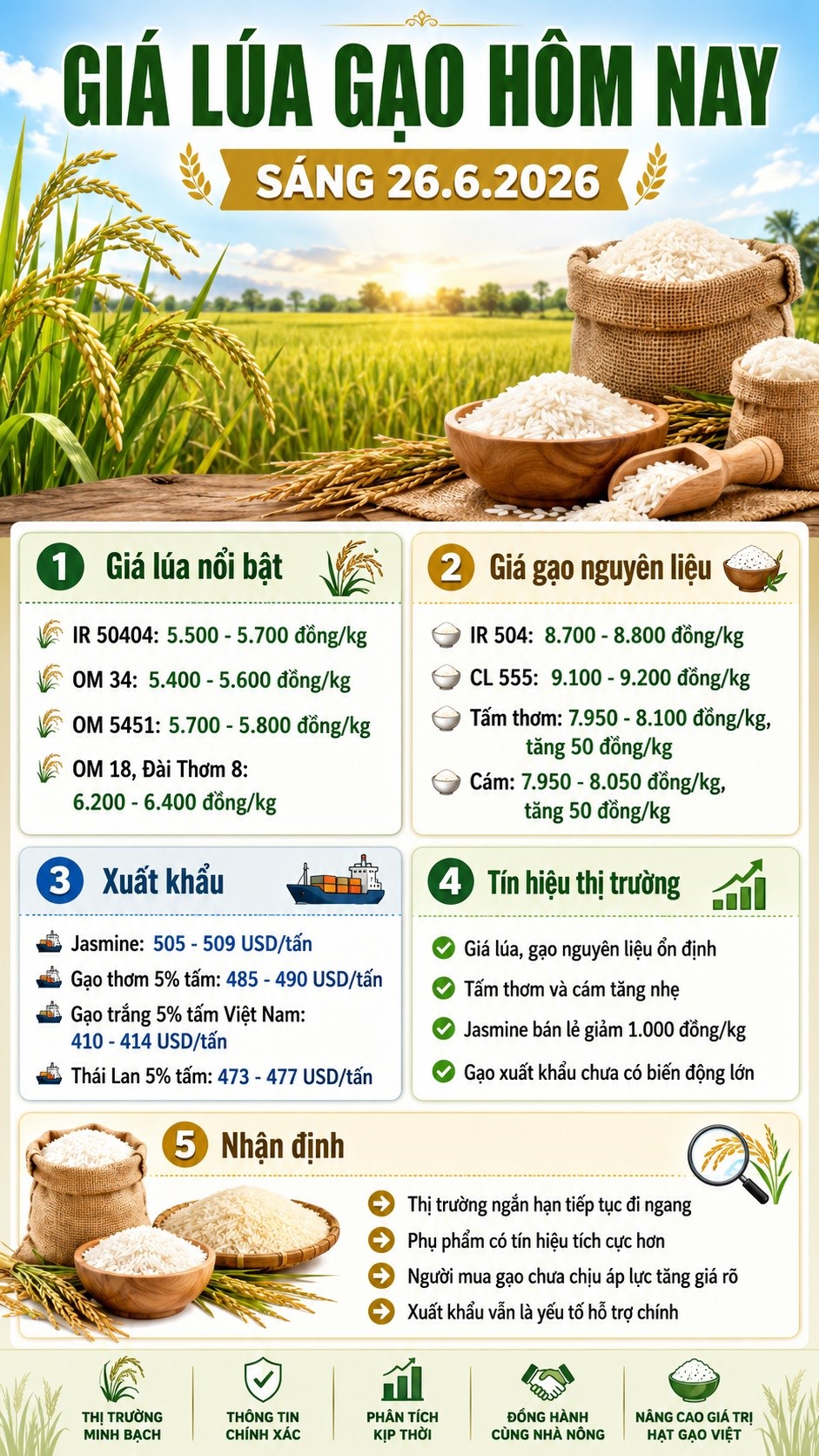 Giá lúa gạo hôm nay 26.6.2026: Phụ phẩm tăng, gạo Jasmine bán lẻ giảm - ảnh 3