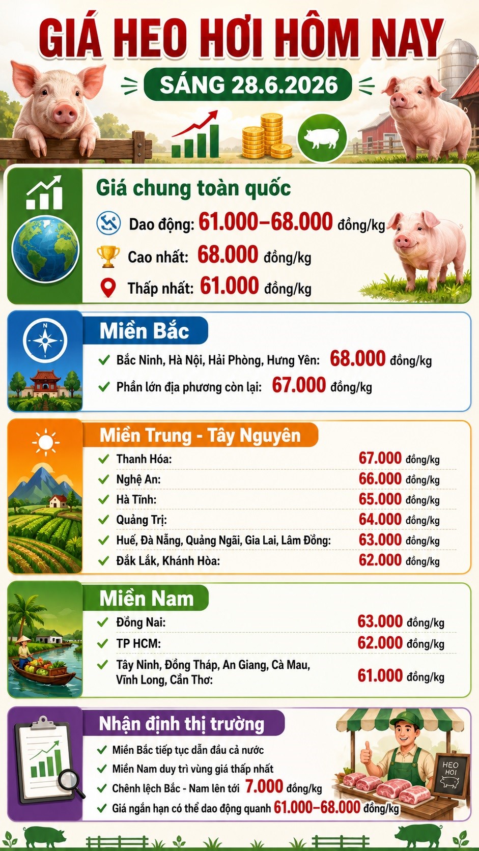 Giá heo hơi hôm nay 28.6: Miền Nam nhiều nơi còn 61.000 đồng/kg - ảnh 3