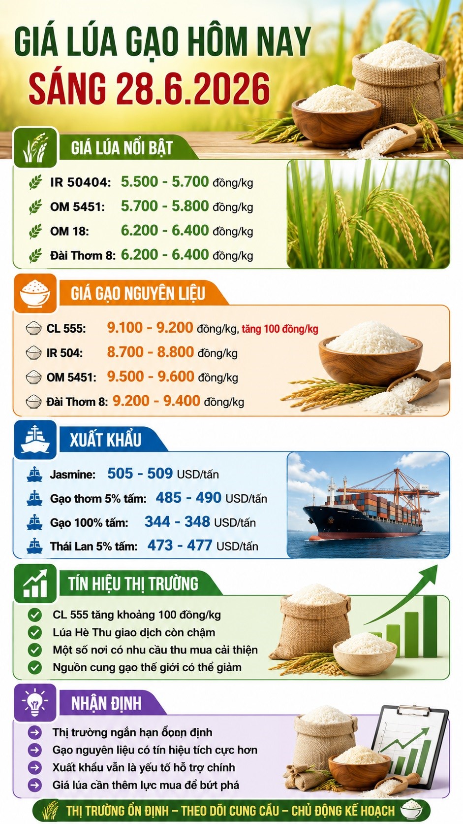 Giá lúa gạo hôm nay 28.6.2026: CL 555 tăng, lúa vẫn đi ngang - ảnh 3