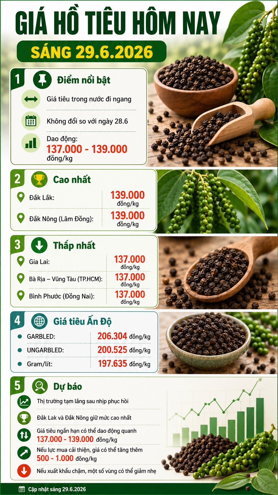 Giá hồ tiêu hôm nay 29.6: Trong nước chững lại, thị trường chờ lực mua mới - ảnh 3