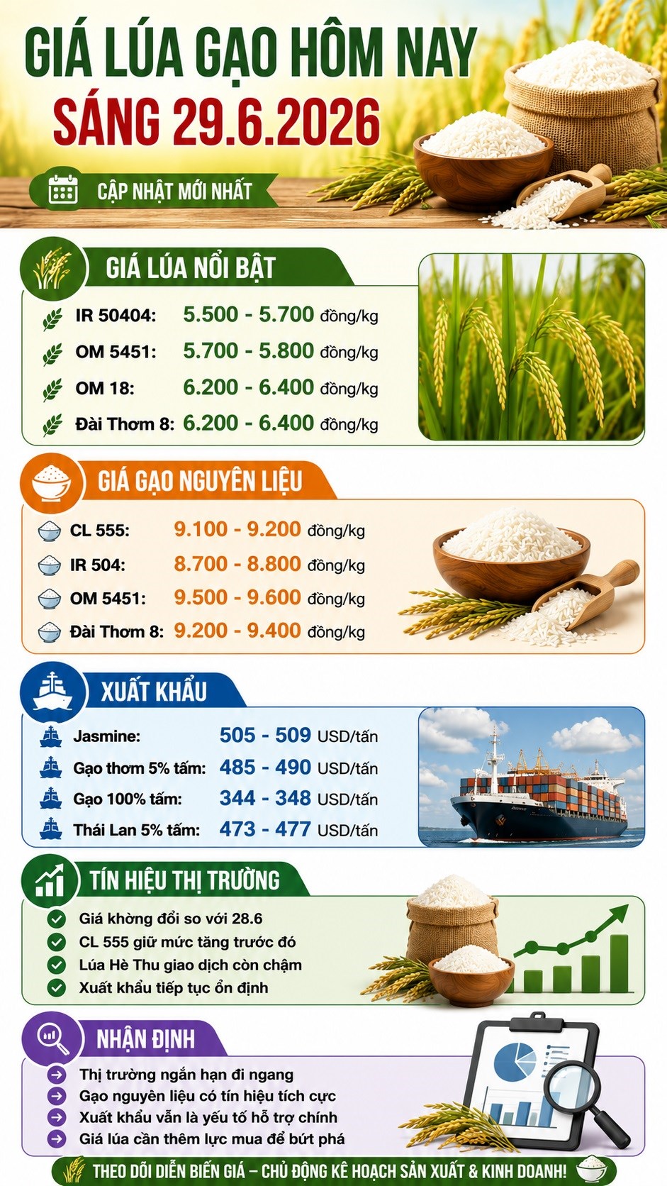 Giá lúa gạo hôm nay 29.6.2026: Không đổi, thị trường chờ lực mua mới - ảnh 3