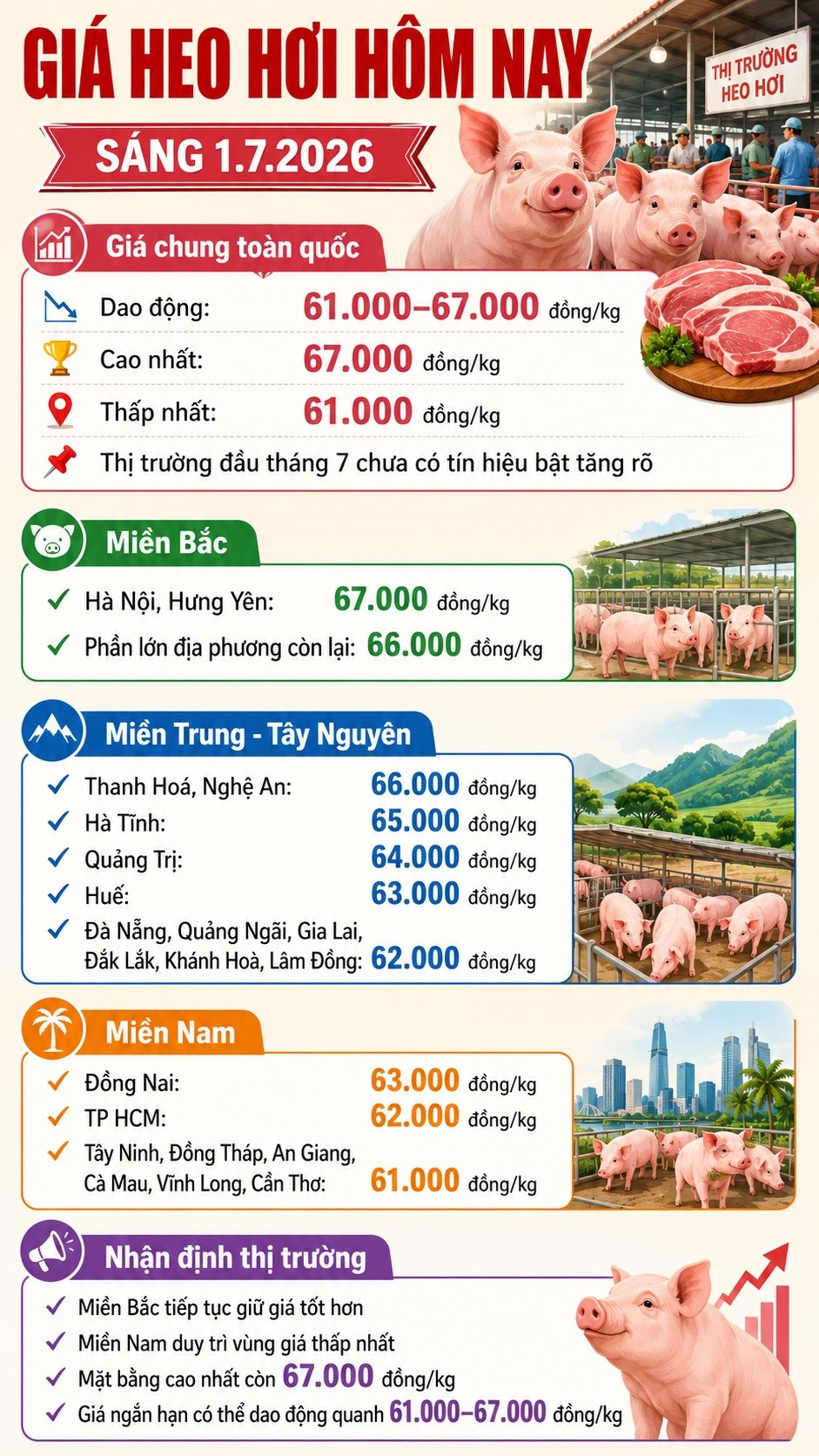 Giá heo hơi hôm nay 1.7: Mốc cao nhất còn 67.000 đồng/kg - ảnh 3
