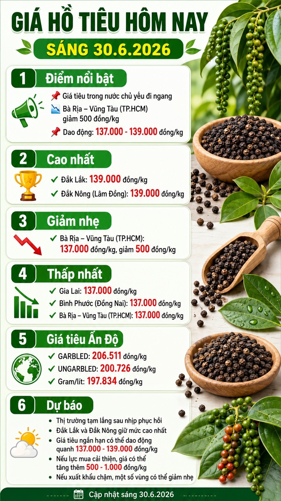 Giá hồ tiêu hôm nay 30.6: Một vùng giảm nhẹ, cao nhất 139.000 đồng/kg - ảnh 3