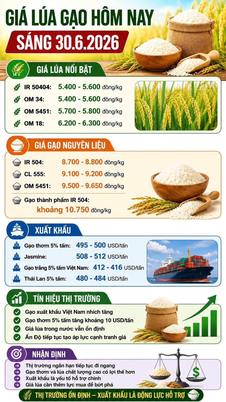 Giá lúa gạo hôm nay 30.6.2026: Xuất khẩu tăng, nội địa vẫn đi ngang - ảnh 3