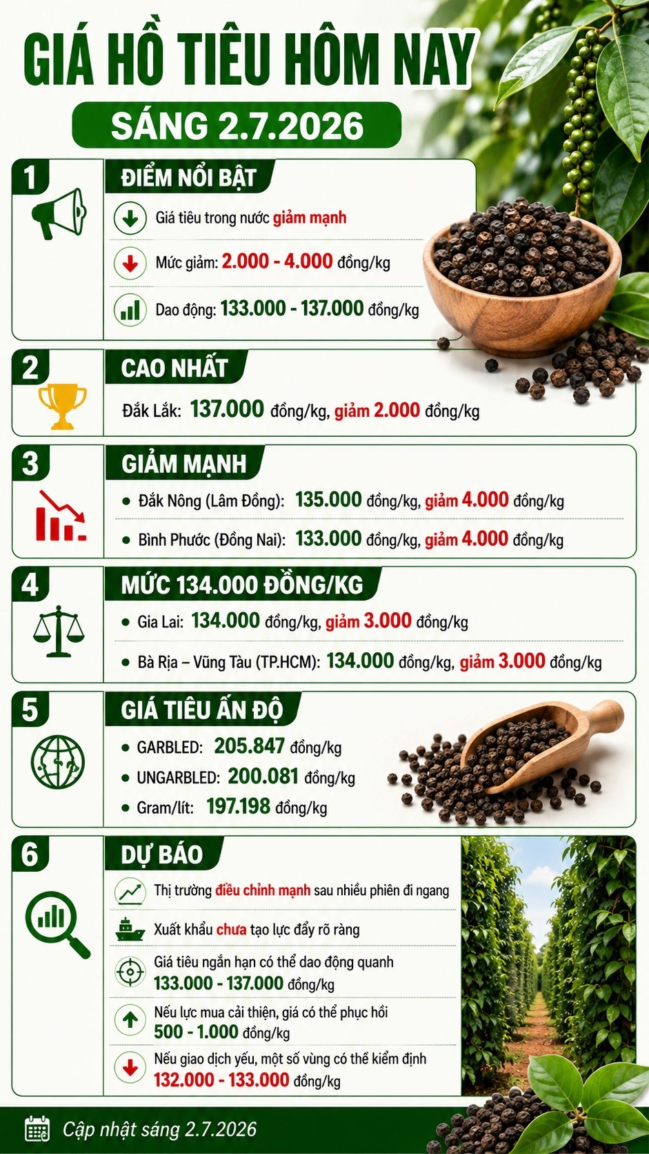 Giá hồ tiêu hôm nay 2.7: Giảm mạnh, có nơi mất tới 4.000 đồng/kg - ảnh 3