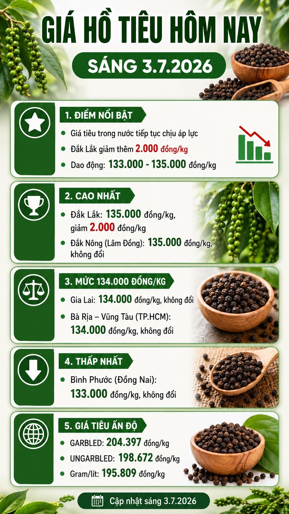 Giá hồ tiêu hôm nay 3.7: Giảm về cao nhất còn 135.000 đồng/kg - ảnh 3