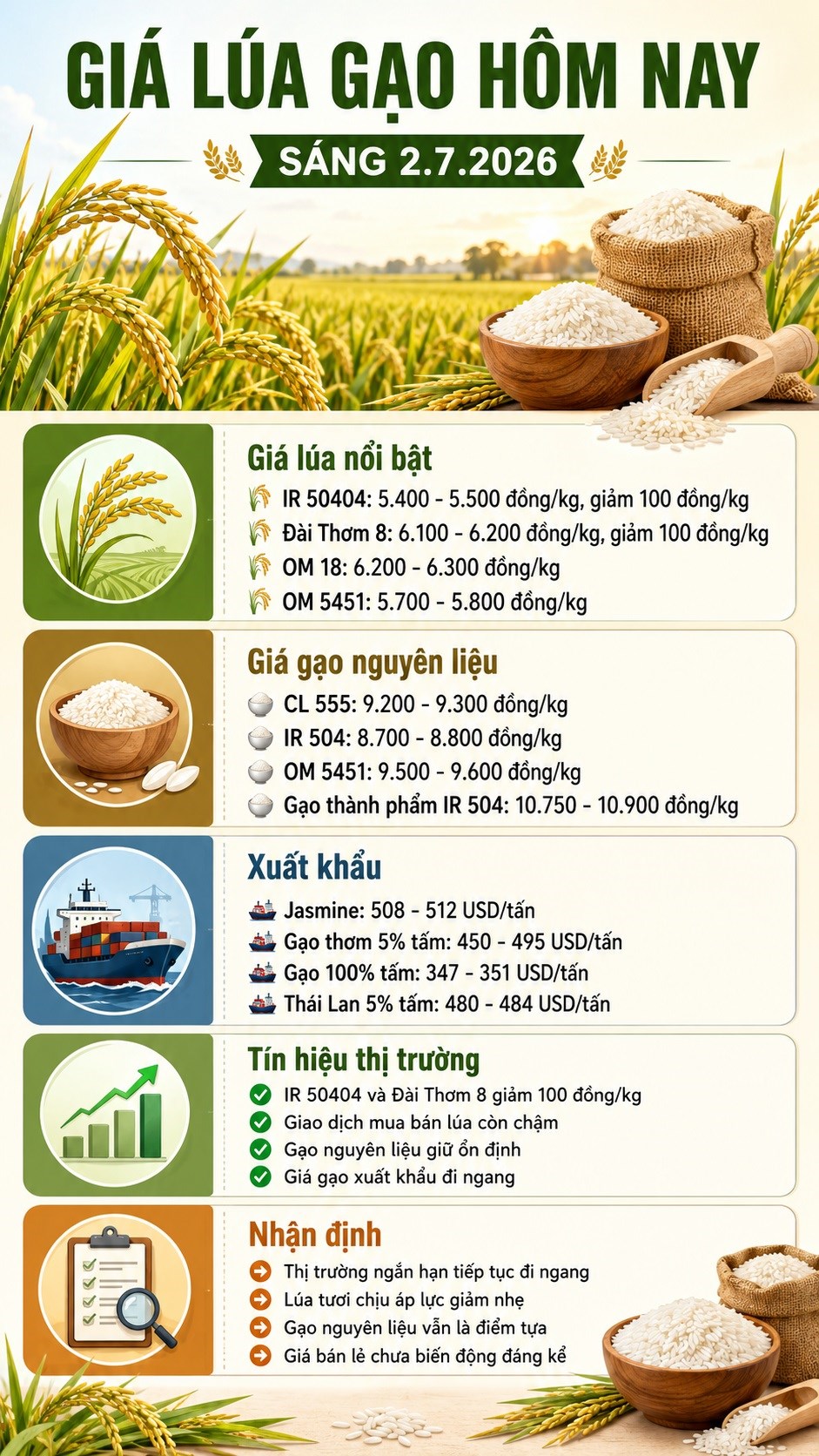 Giá lúa gạo hôm nay 2.7.2026: Lúa giảm nhẹ, gạo xuất khẩu đi ngang - ảnh 3
