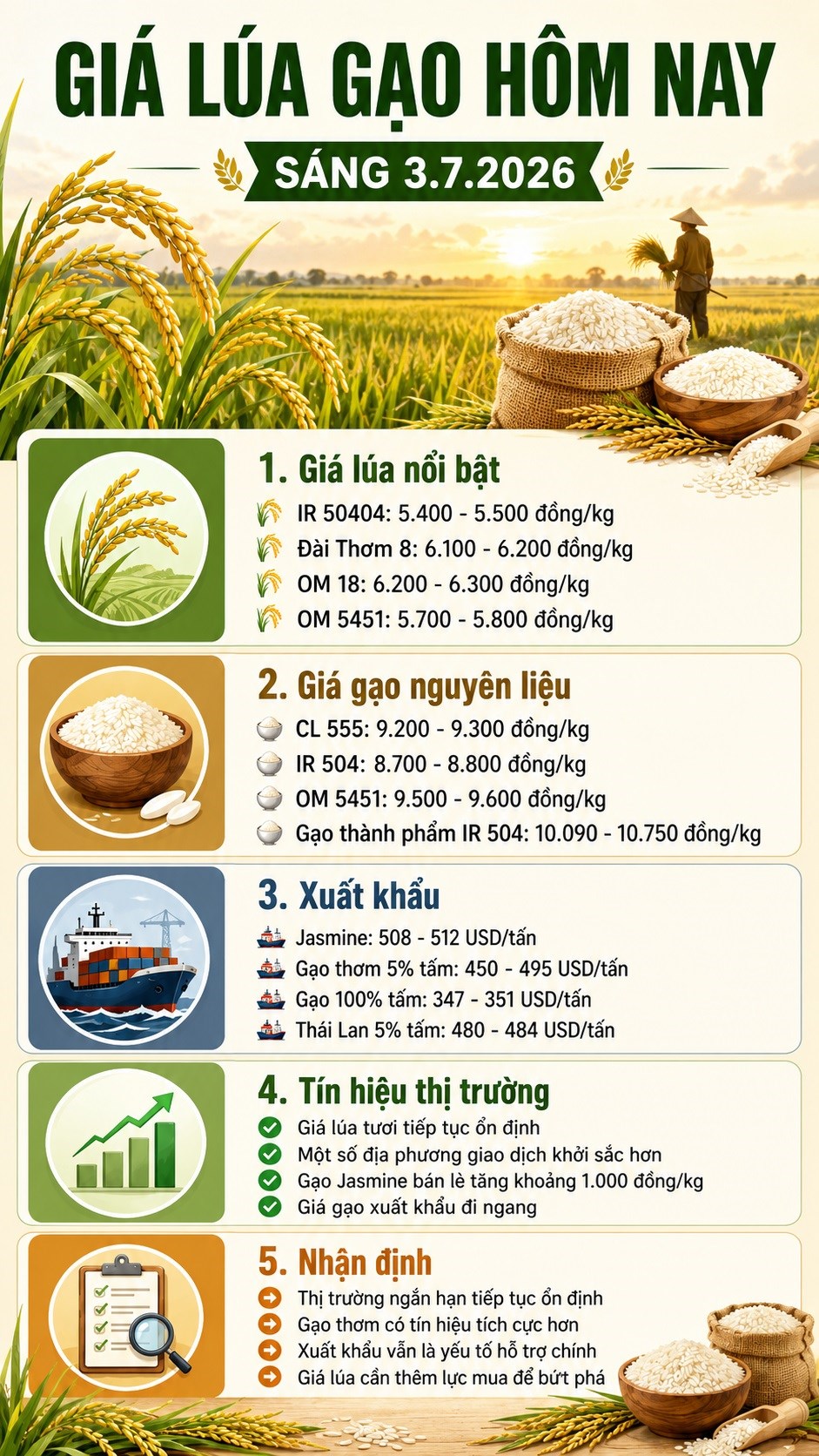 Giá lúa gạo hôm nay 3.7.2026: Lúa ổn định, gạo Jasmine bán lẻ tăng - ảnh 3