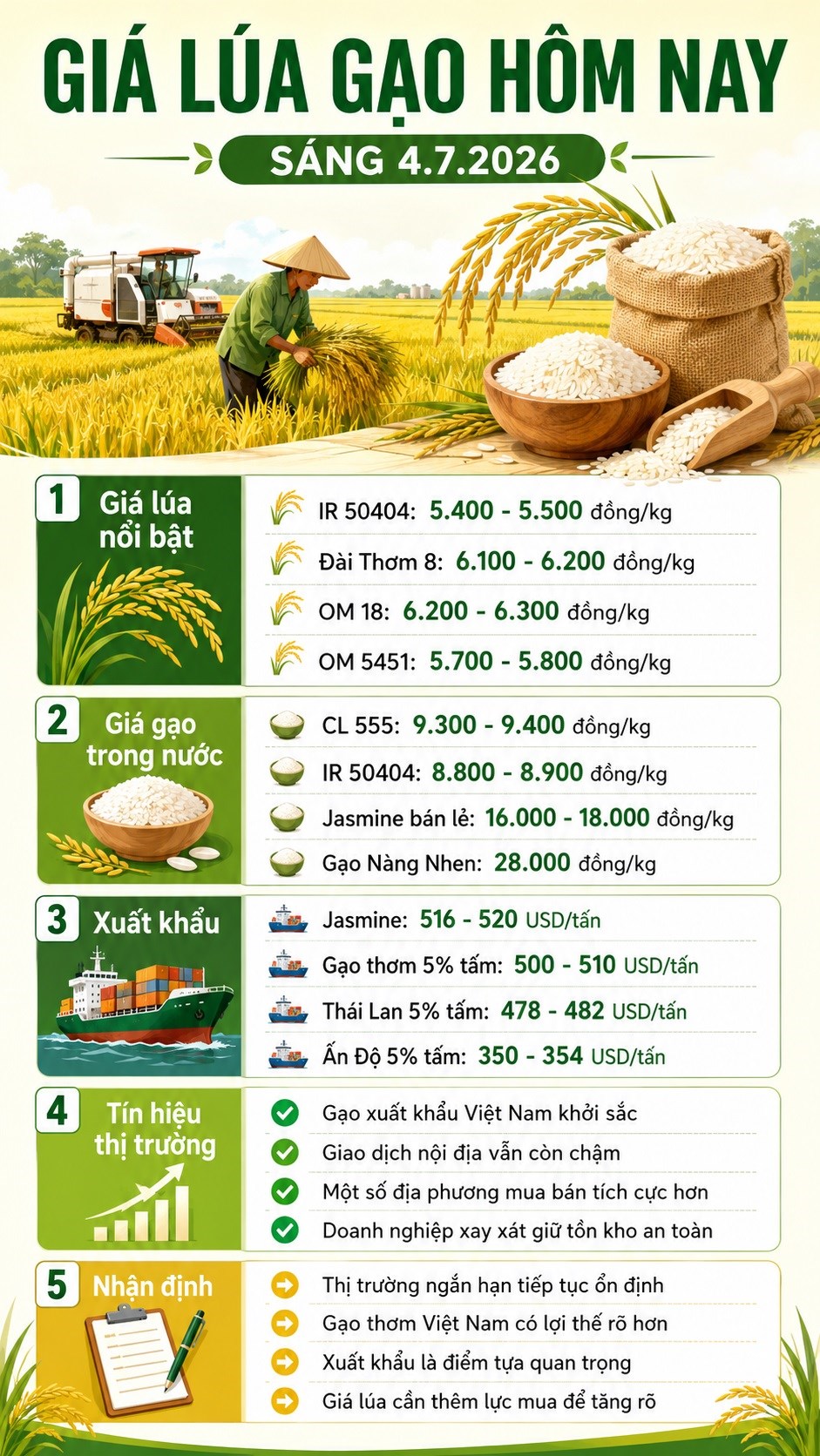 Giá lúa gạo hôm nay 4.7.2026: Xuất khẩu tăng, nội địa vẫn chậm - ảnh 3