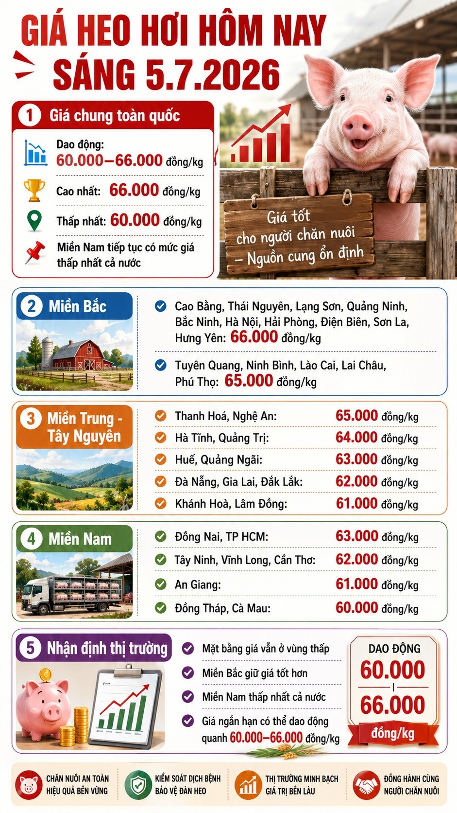 Giá heo hơi hôm nay 5.7: Thị trường phân hóa nhẹ giữa ba miền - ảnh 3