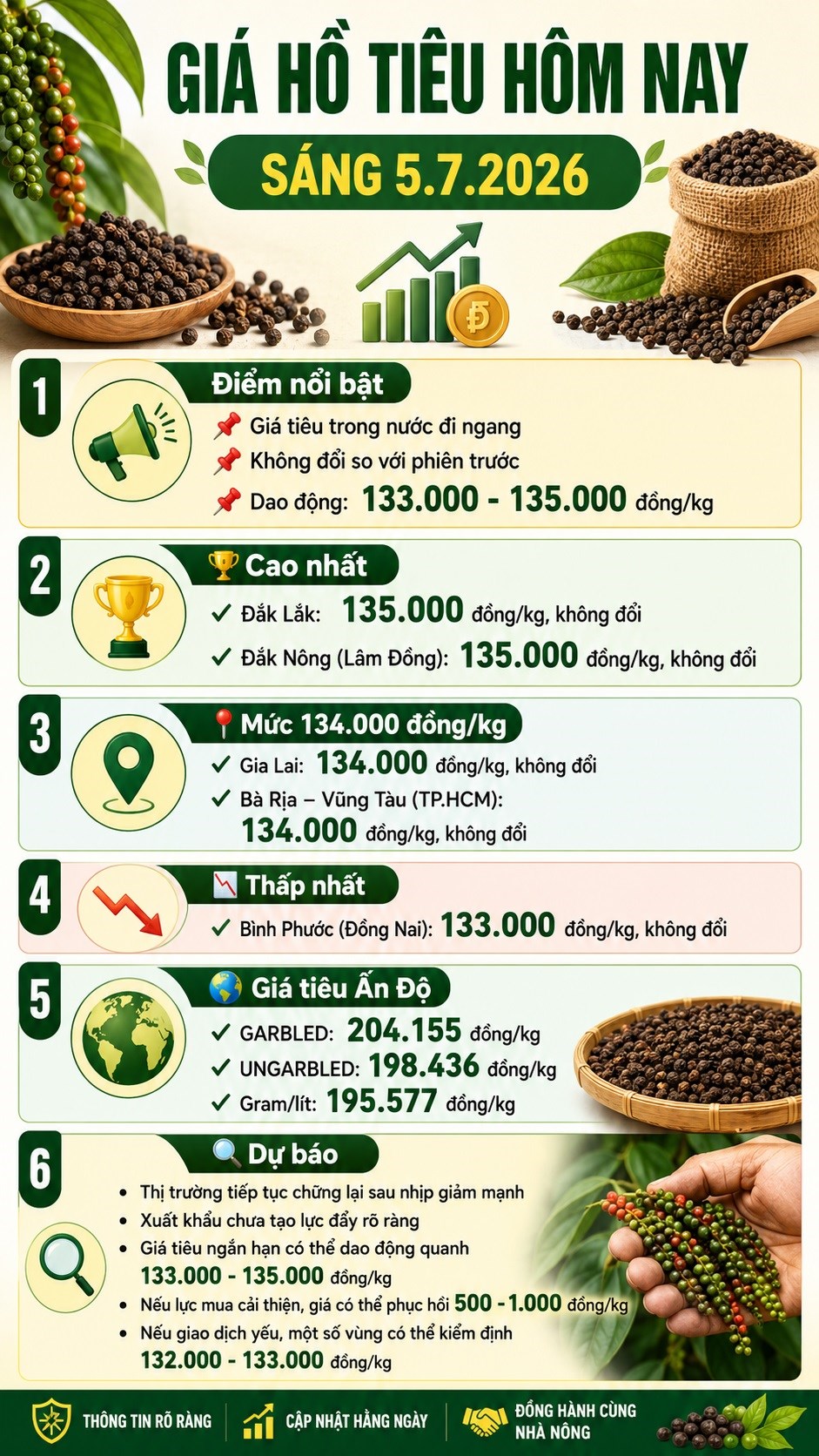 Giá tiêu hôm nay 5.7: Chưa phục hồi, thị trường vẫn thận trọng - ảnh 3