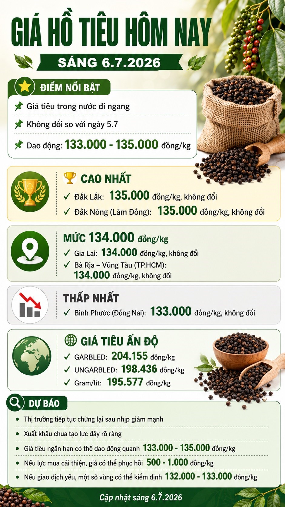 Giá hồ tiêu hôm nay 6.7: Đi ngang, cao nhất 135.000 đồng/kg - ảnh 3