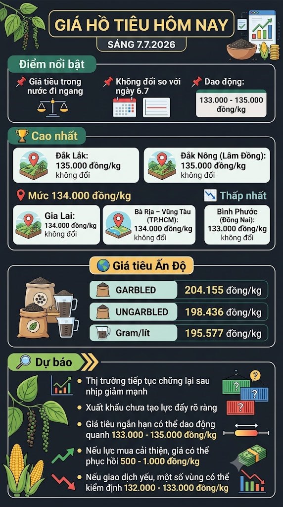 Giá hồ tiêu hôm nay 7.7: Đi ngang, thị trường tiếp tục chờ lực mua mới - ảnh 3
