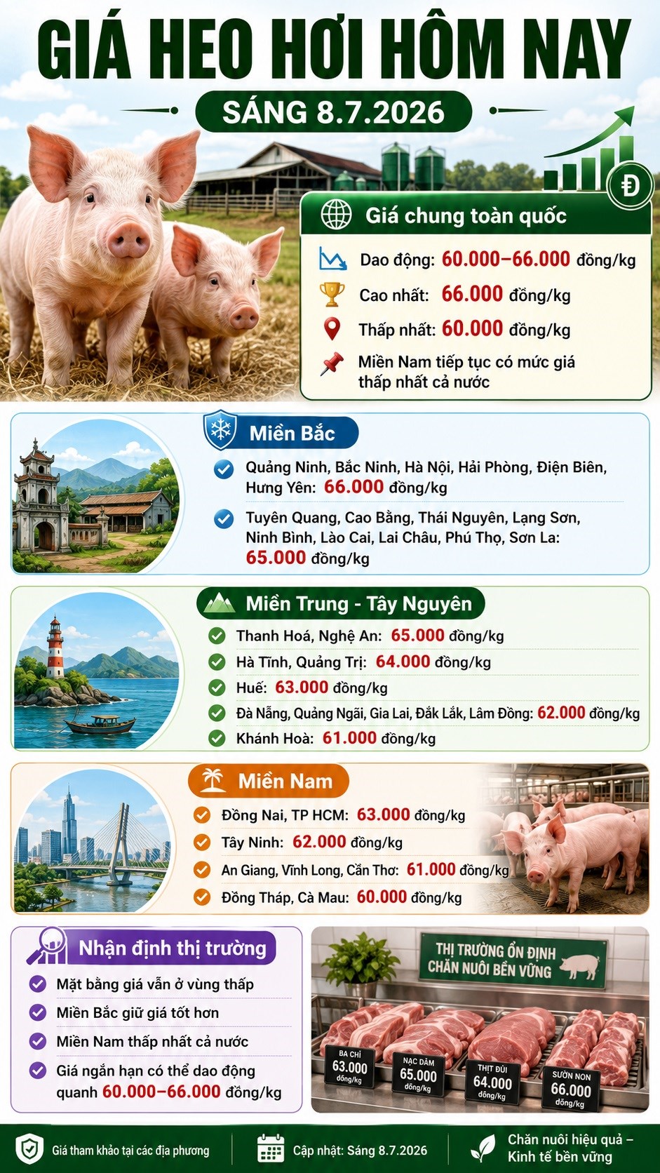 Giá heo hơi hôm nay 8.7: Miền Bắc giữ giá tốt hơn, thị trường còn trầm - ảnh 3