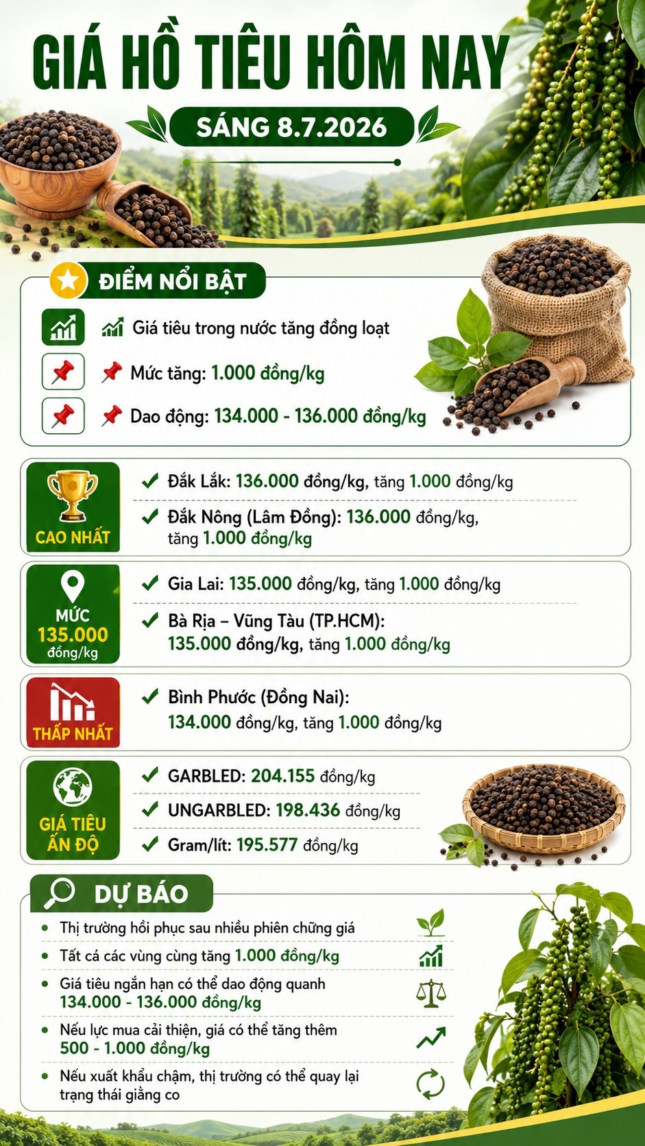 Giá hồ tiêu hôm nay 8.7: Bật tăng trở lại sau nhiều phiên chững giá - ảnh 3