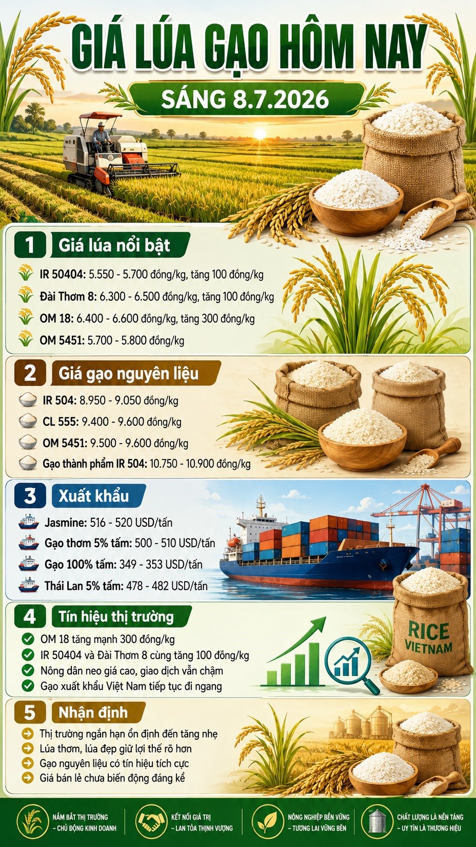 Giá lúa gạo hôm nay 8.7.2026: Lúa OM 18, Đài Thơm 8 đồng loạt tăng - ảnh 3