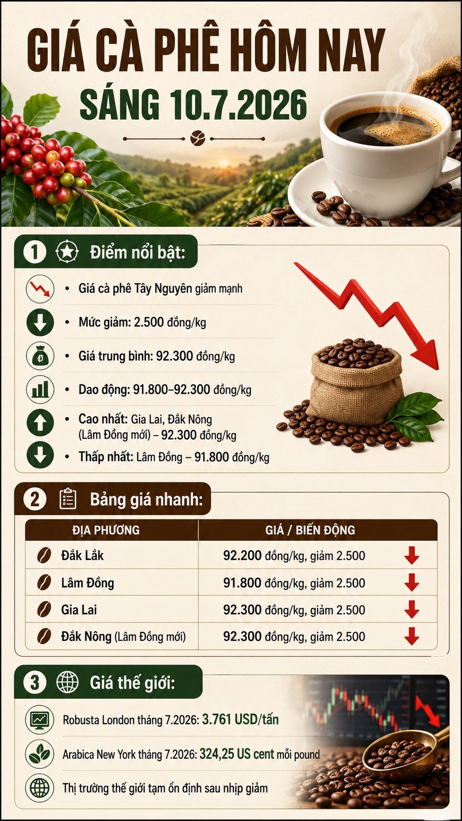 Giá cà phê hôm nay 10.7.2026: Mất 2.500 đồng/kg, thị trường hạ nhiệt - ảnh 3