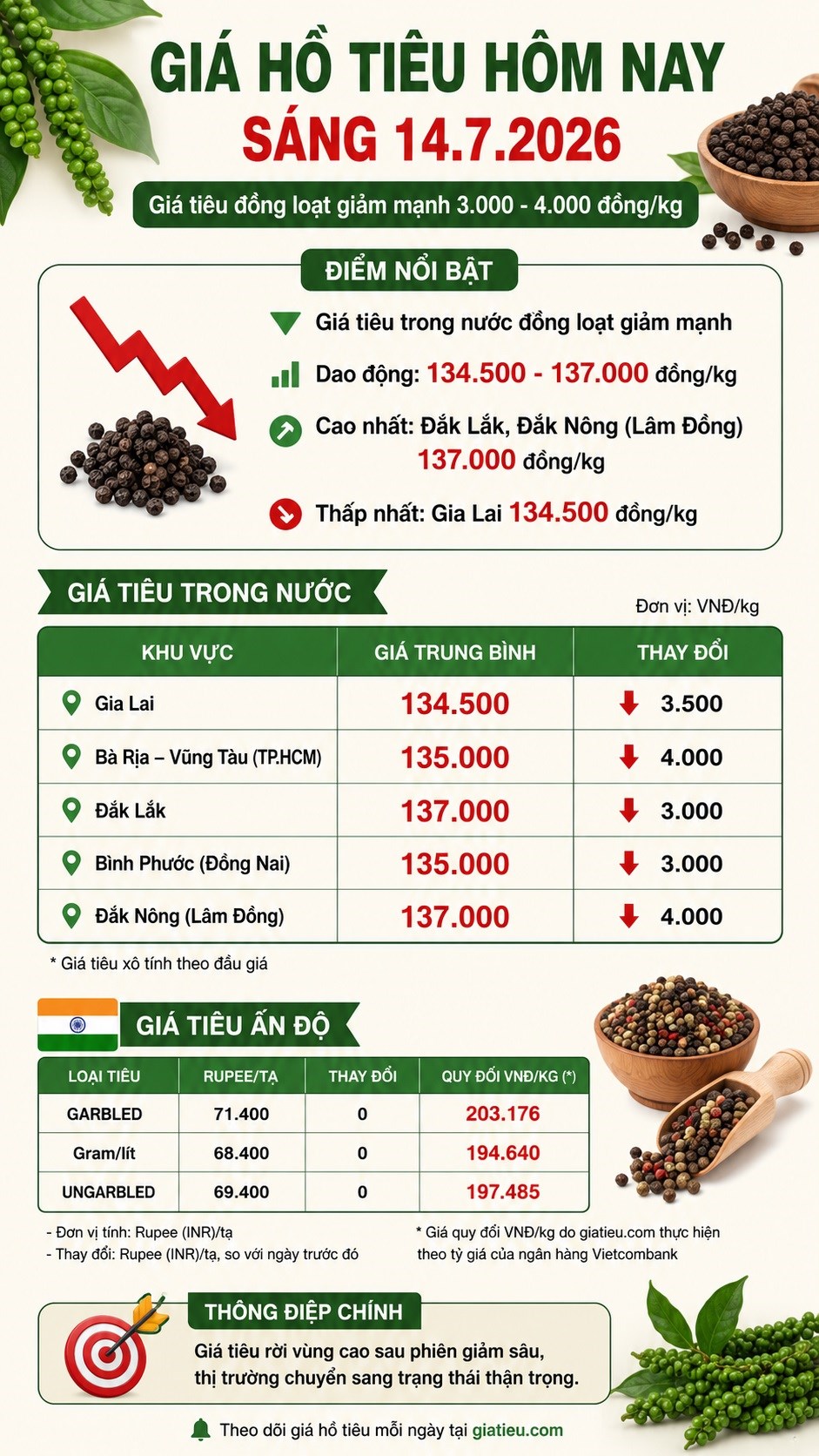 Giá hồ tiêu hôm nay 14.7.2026: Đồng loạt lao dốc - ảnh 3