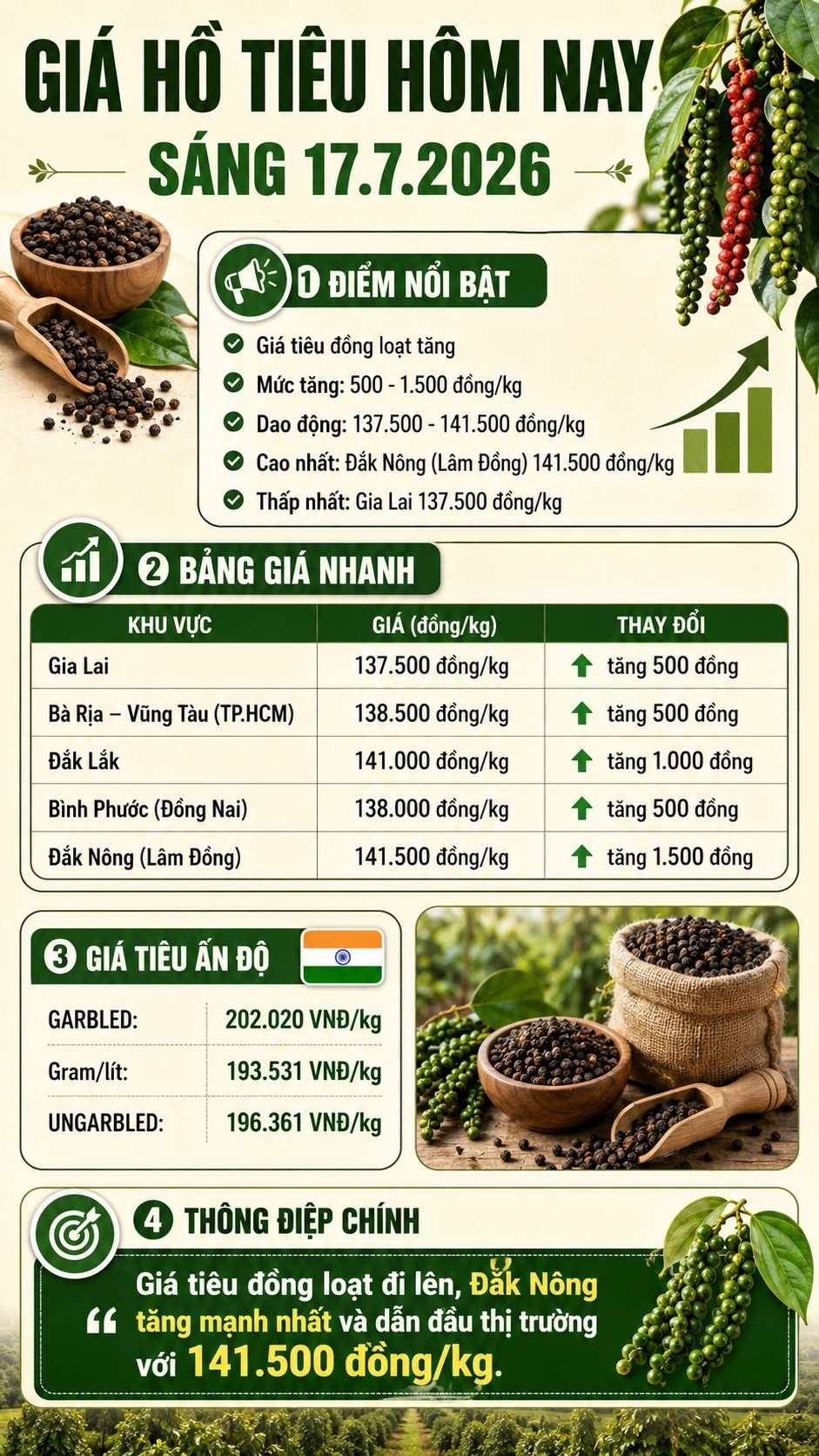 Giá hồ tiêu hôm nay 17.7.2026: Đồng loạt tăng trên cả nước - ảnh 3