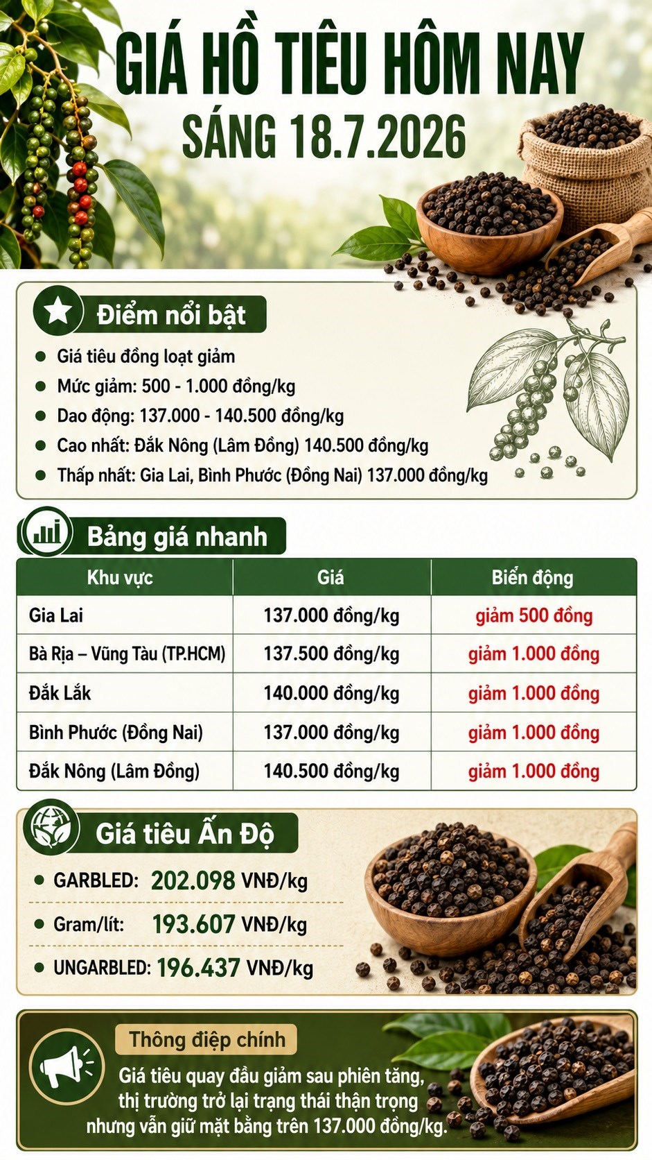Giá hồ tiêu hôm nay 18.7: Đồng loạt giảm tới 1.000 đồng/kg - ảnh 3