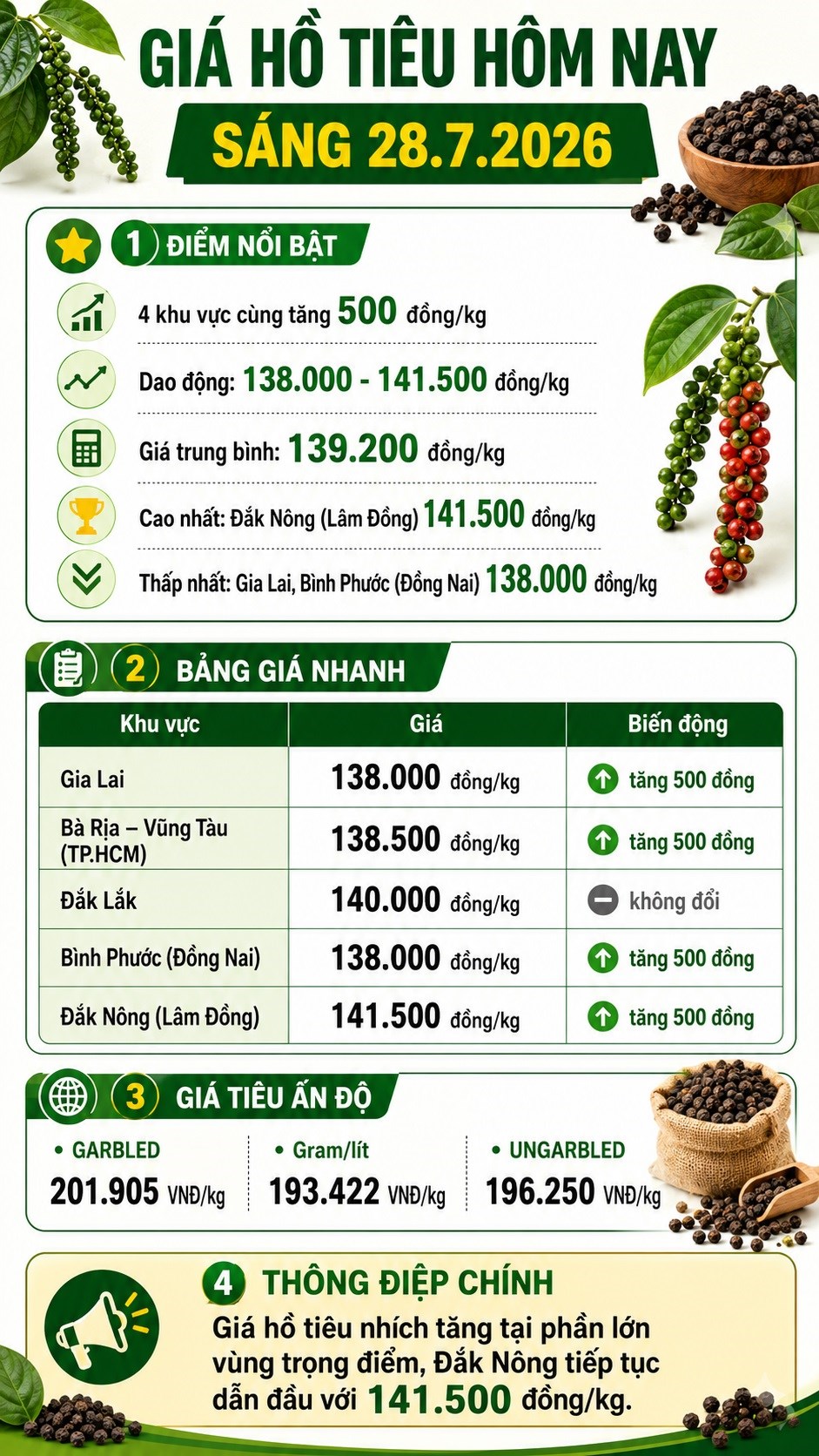 Giá hồ tiêu hôm nay 28.7.2026: Nhiều vùng tăng 500 đồng/kg - ảnh 3