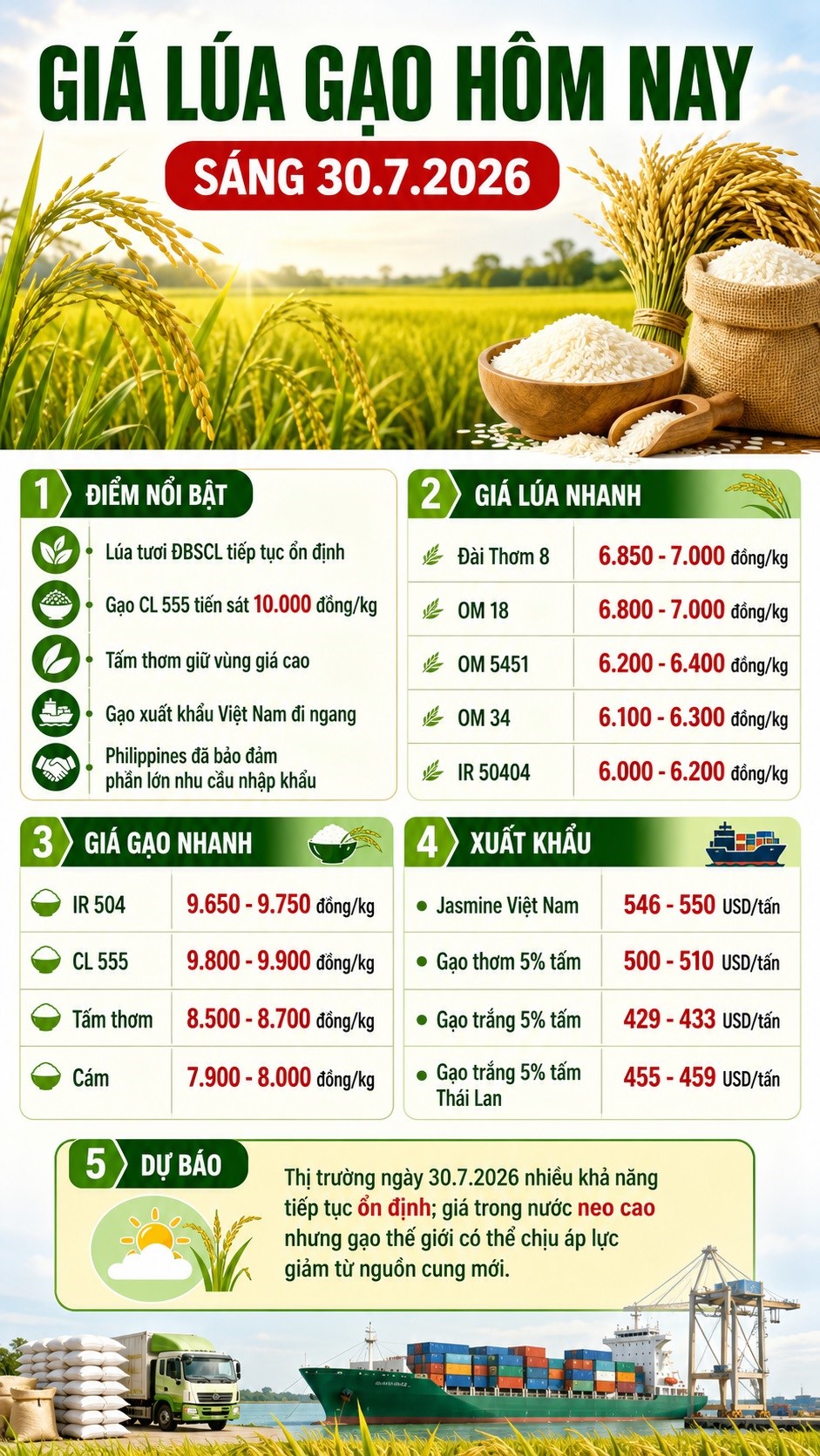 Giá lúa gạo hôm nay 30.7.2026: Áp lực giảm dần xuất hiện - ảnh 3