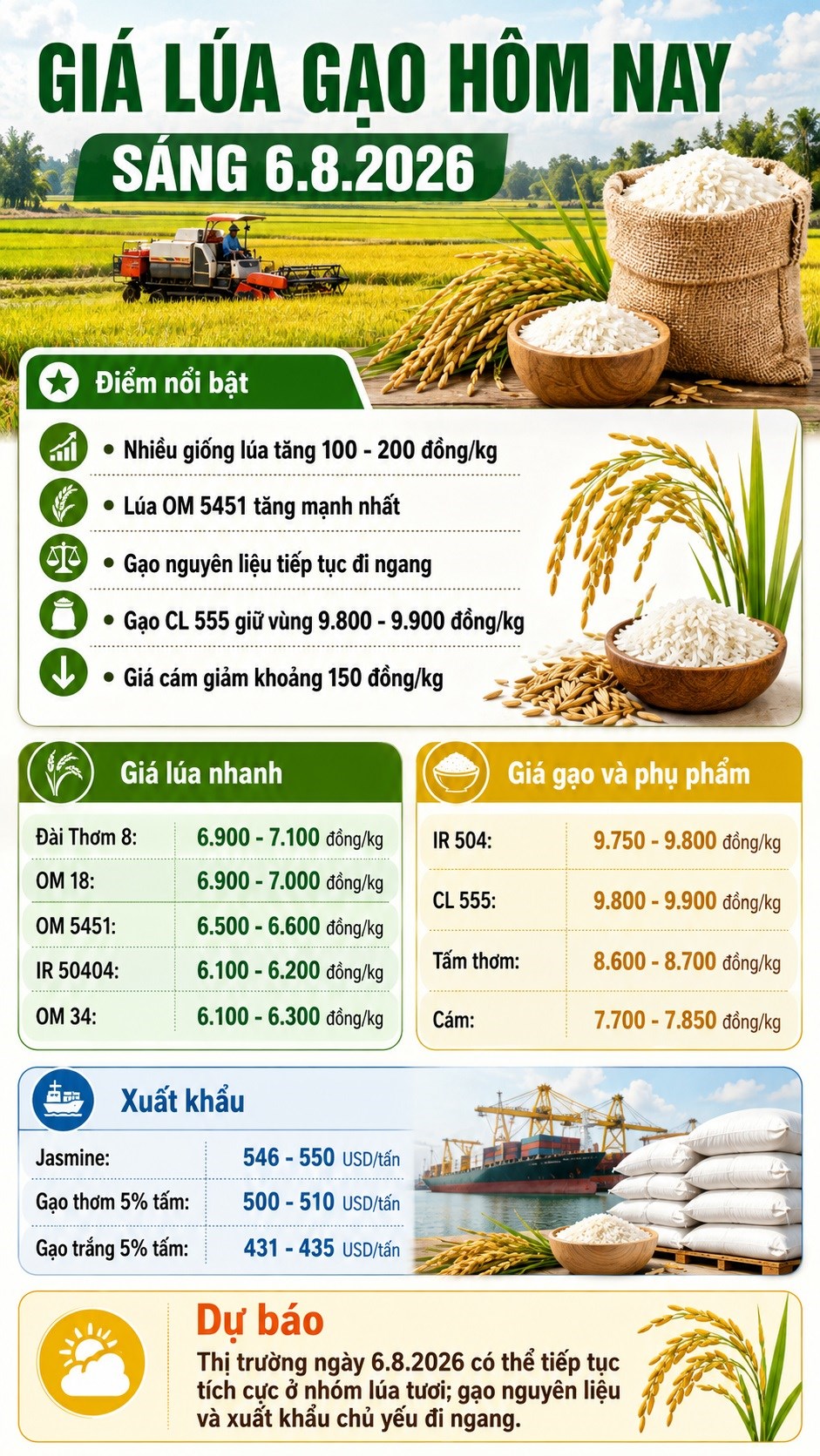 Giá lúa gạo hôm nay 6.8.2026: Lúa tăng tới 200 đồng/kg - ảnh 3