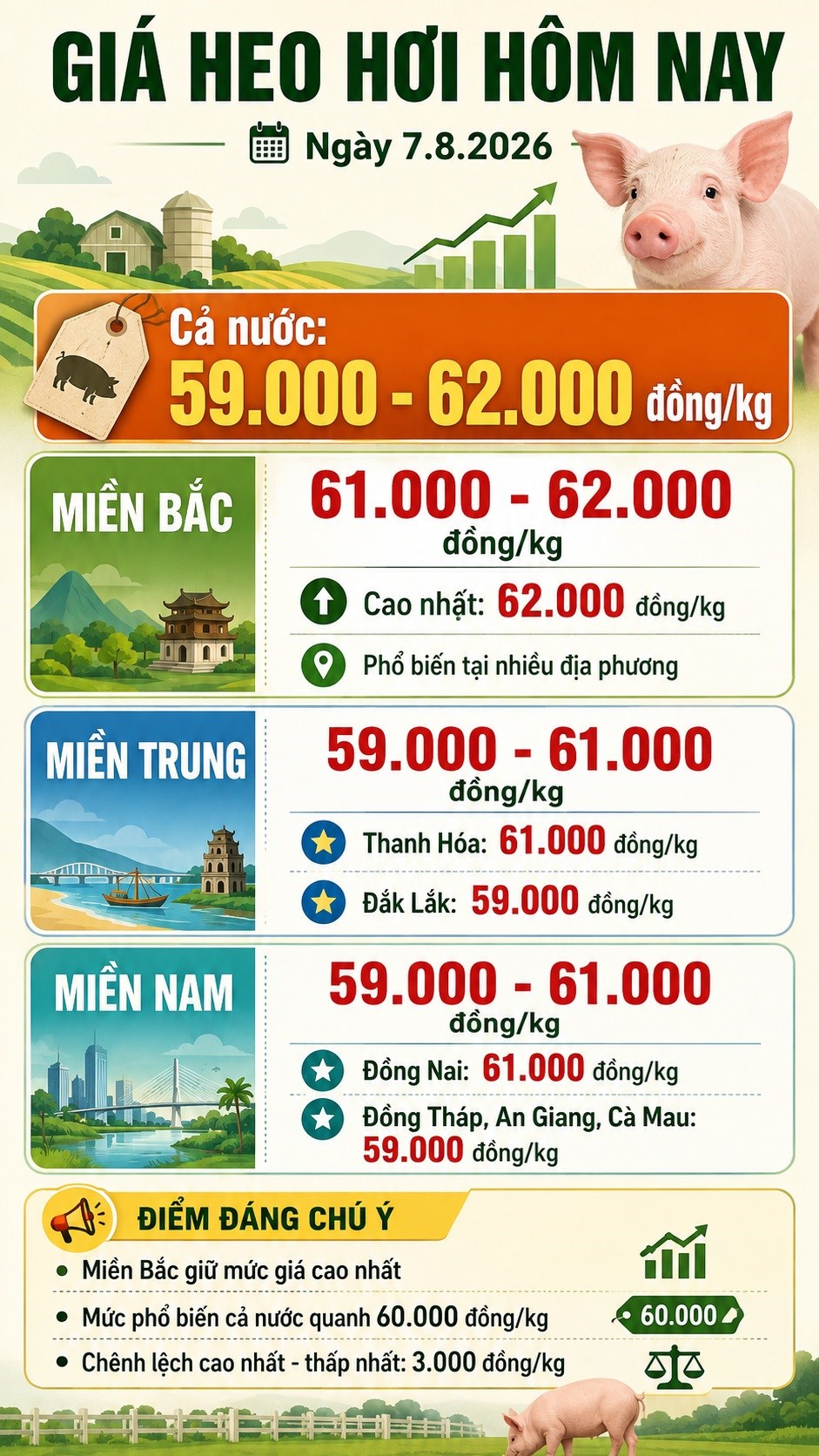 Giá heo hơi hôm nay 7.8.2026: Miền Bắc neo mức cao - ảnh 3