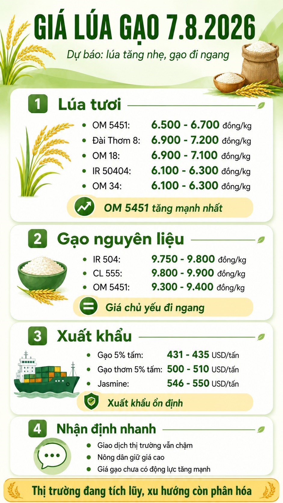 Giá lúa gạo hôm nay 7.8.2026: Lúa tươi còn dư địa tăng nhẹ - ảnh 3
