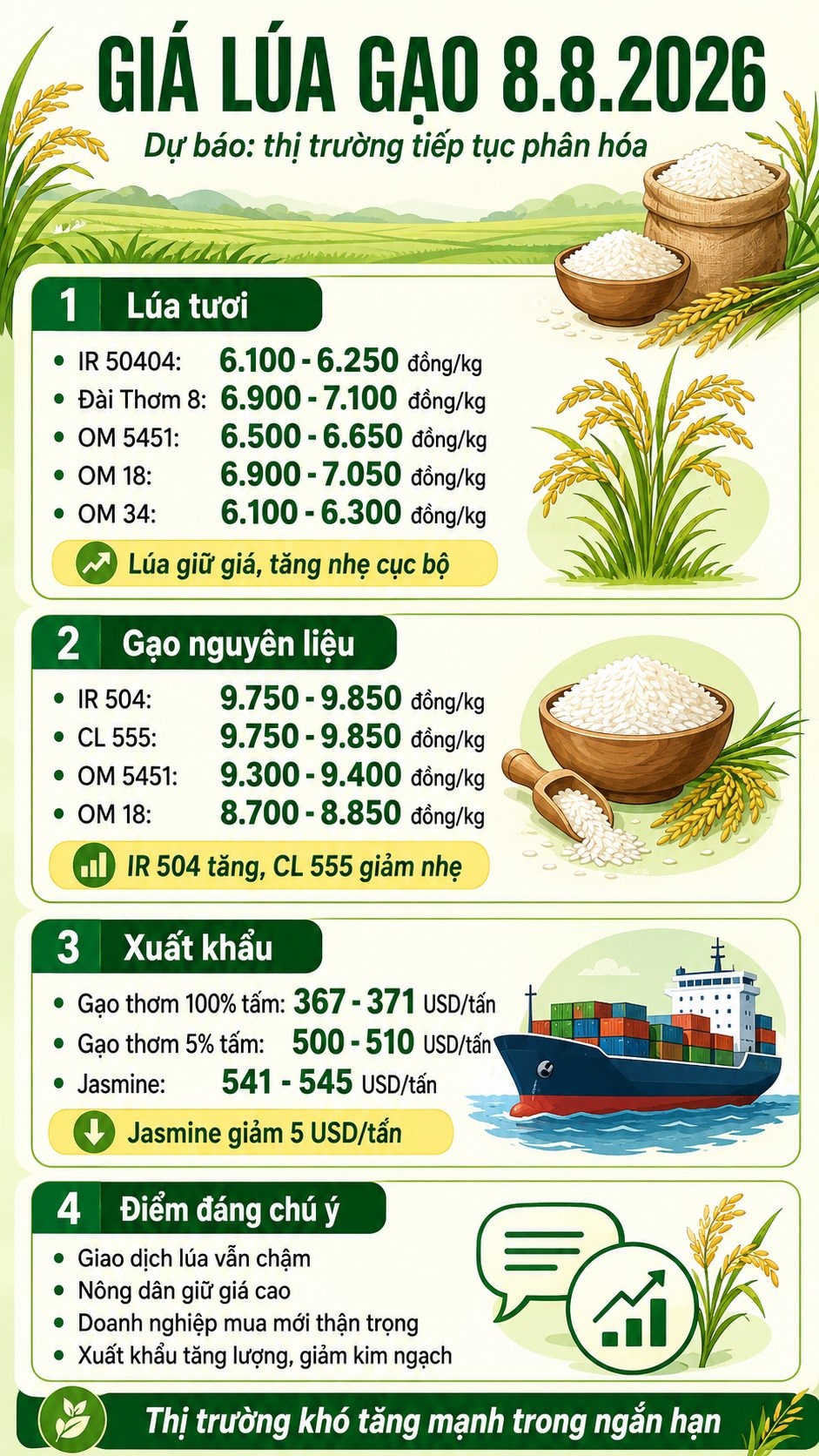 Giá lúa gạo hôm nay 8.8.2026: Gạo IR 504 tăng, Jasmine giảm - ảnh 3
