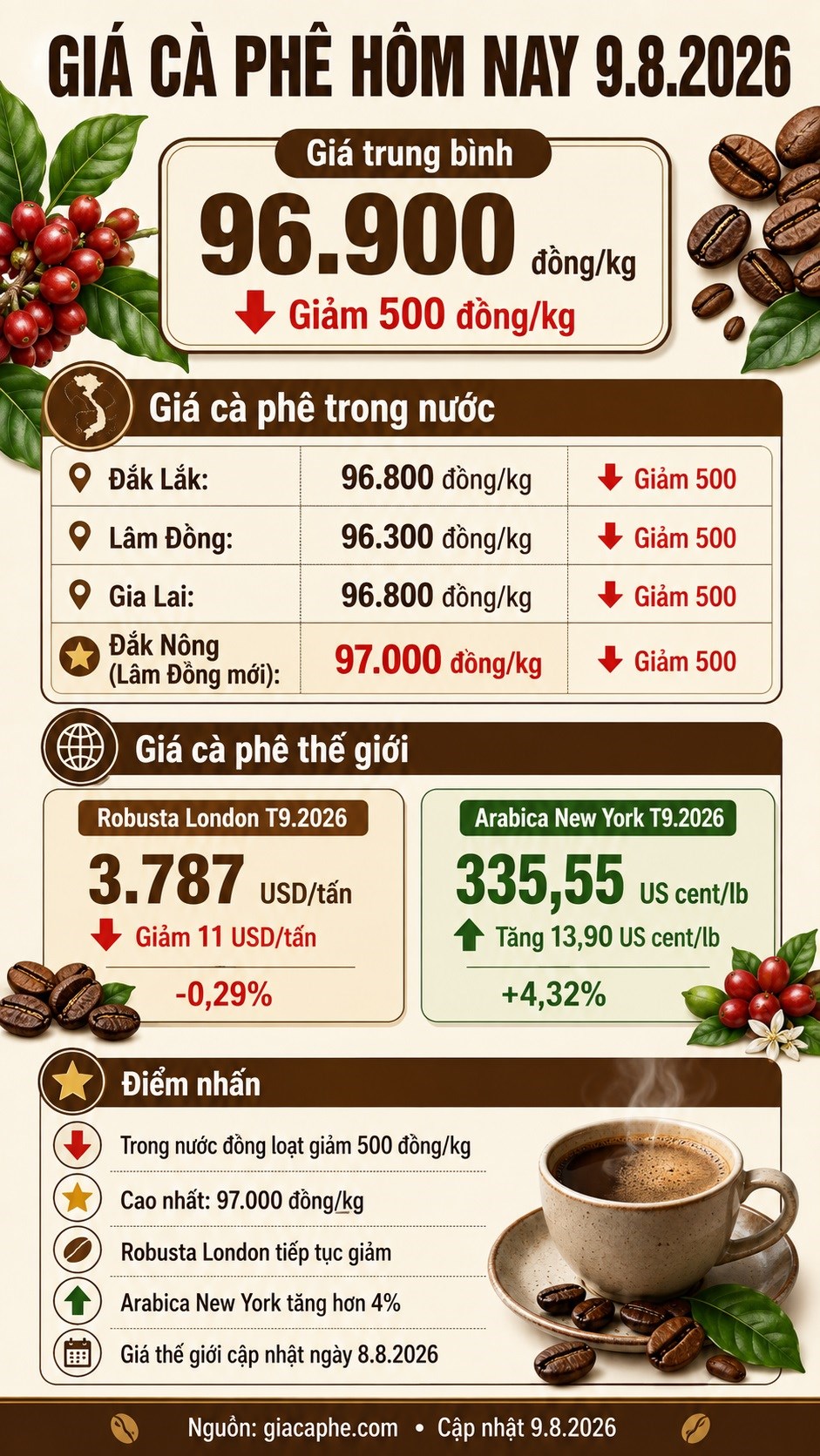 Giá cà phê hôm nay 9.8.2026: Trong nước giảm, Arabica tăng hơn 4% - ảnh 3