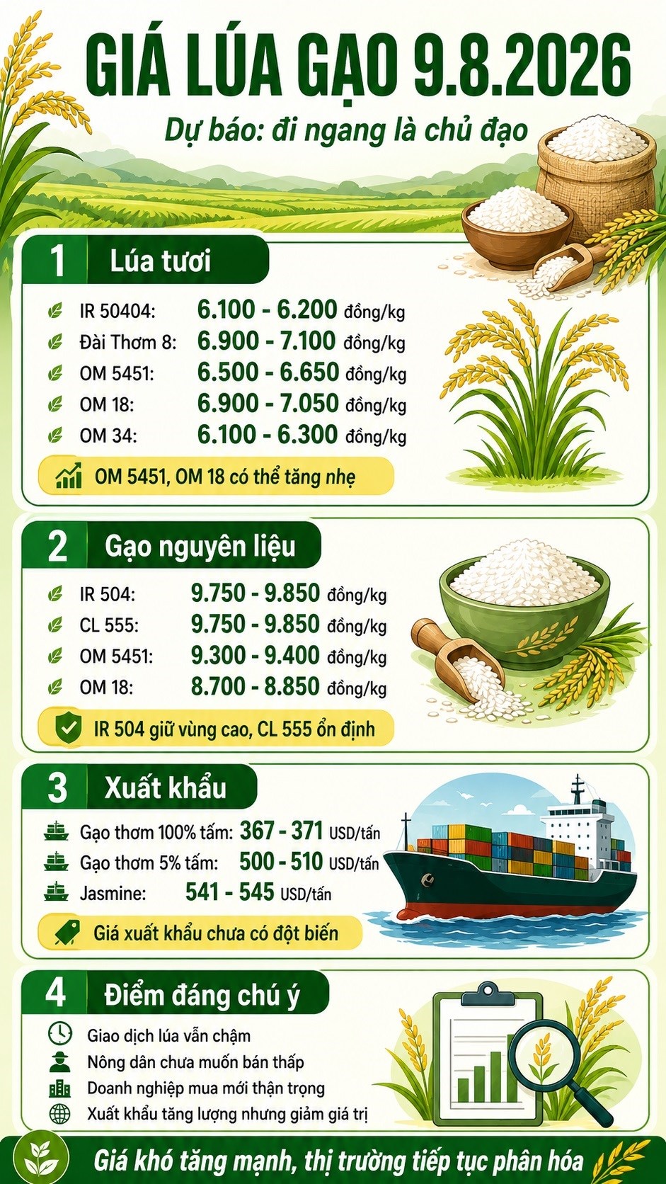 Giá lúa gạo hôm nay 9.8.2026: Thị trường khó tăng mạnh - ảnh 3