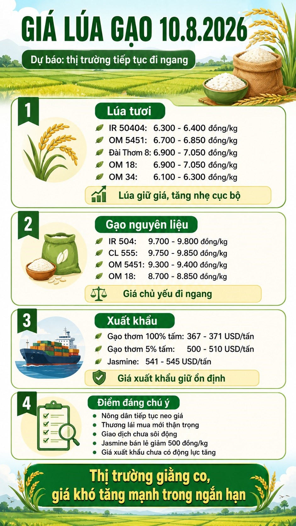 Giá lúa gạo hôm nay 10.8.2026: Jasmine giảm, lúa vẫn neo cao - ảnh 3