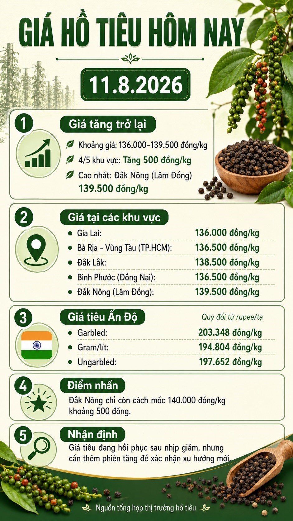 Giá hồ tiêu hôm nay 11.8.2026: Bật tăng 500 đồng/kg - ảnh 3