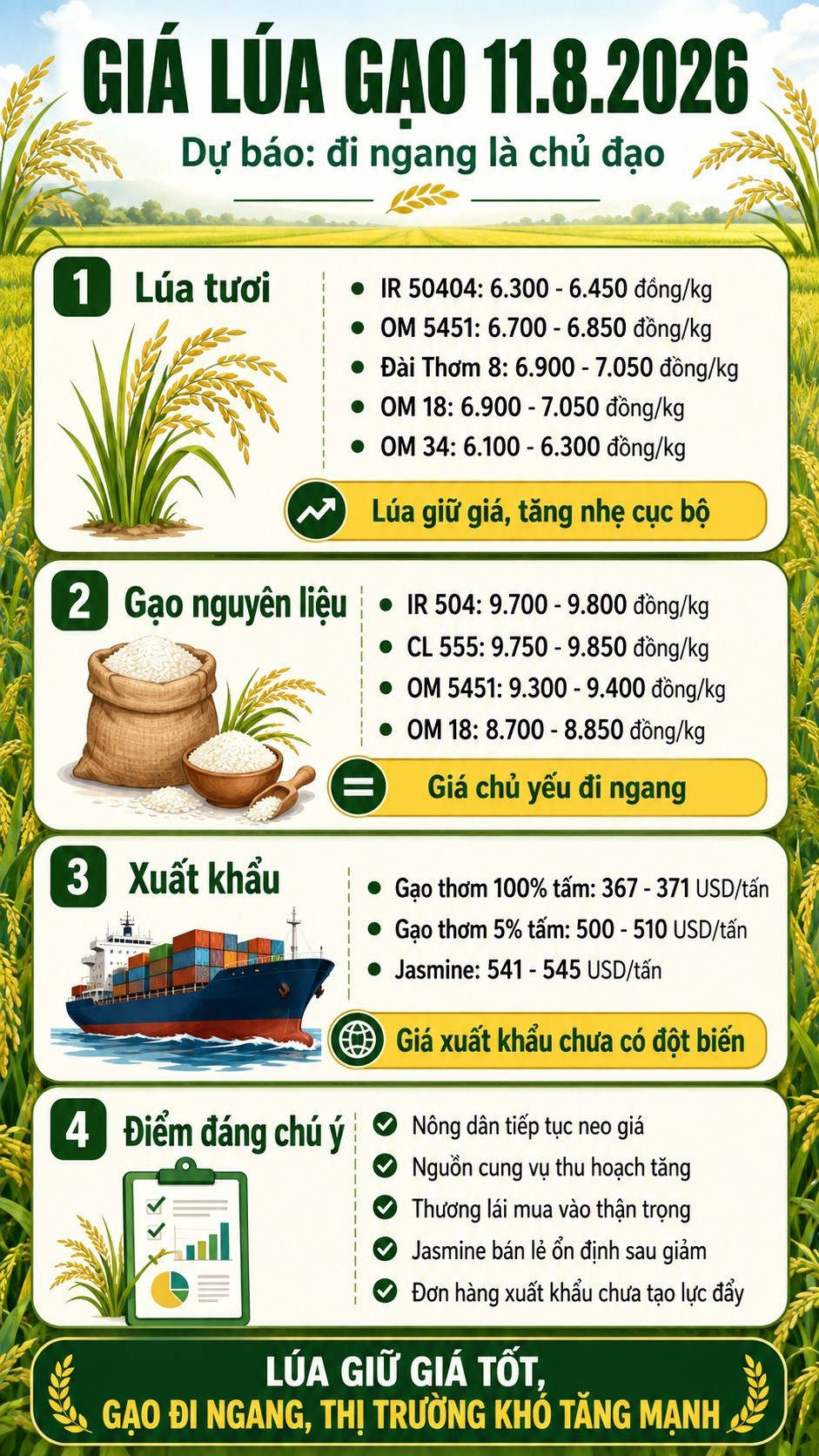 Giá lúa gạo hôm nay 11.8.2026: Xuất khẩu ổn định, giao dịch chậm - ảnh 3