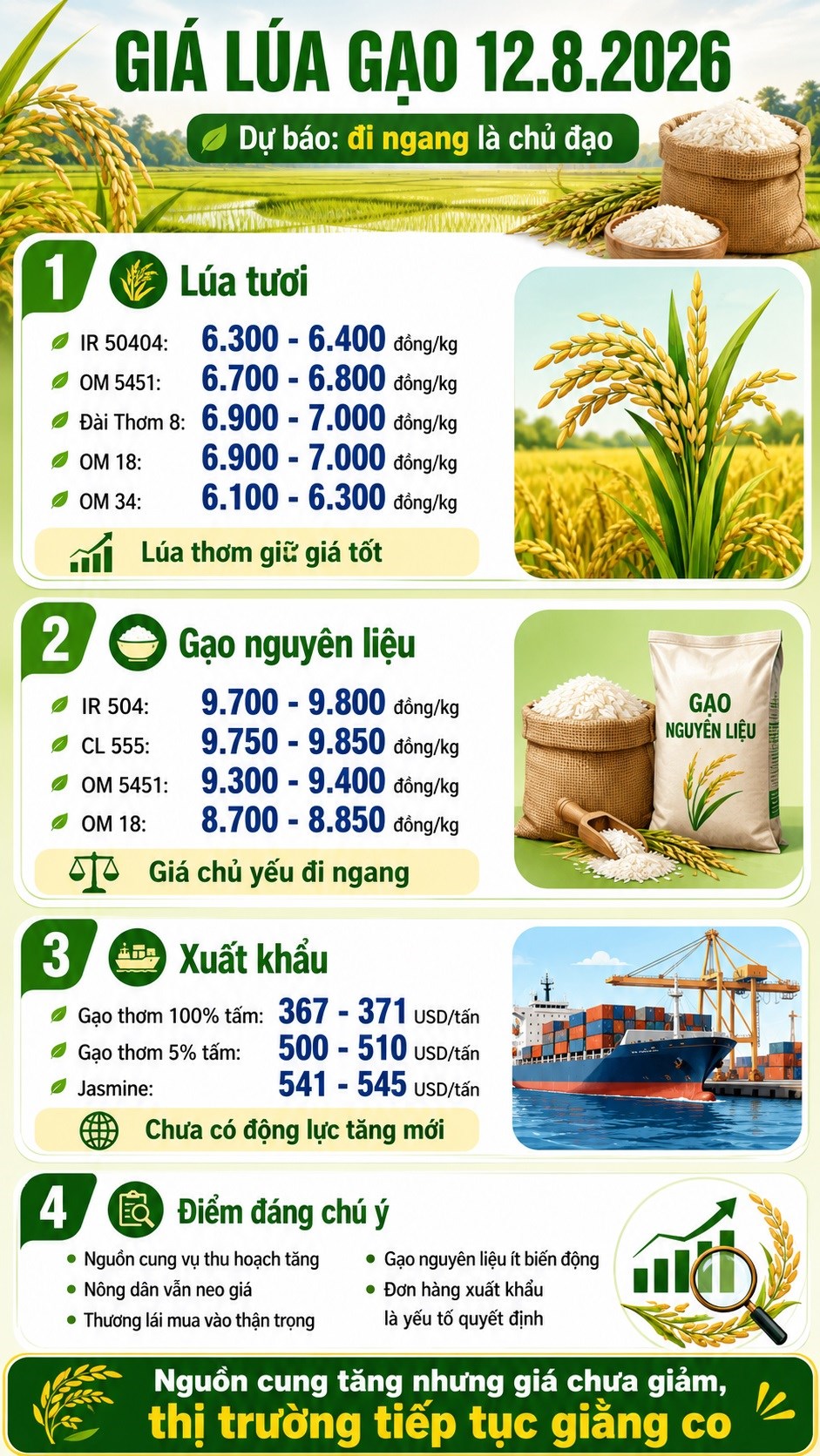 Giá lúa gạo hôm nay 12.8.2026: Thị trường tiếp tục đi ngang - ảnh 3