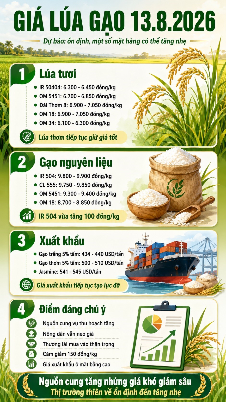 Giá lúa gạo hôm nay 13.8.2026: IR 504 giữ đà tăng - ảnh 3