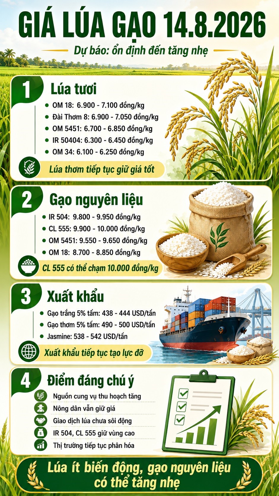 Giá lúa gạo hôm nay 14.8.2026: Gạo nguyên liệu có thể tăng - ảnh 3