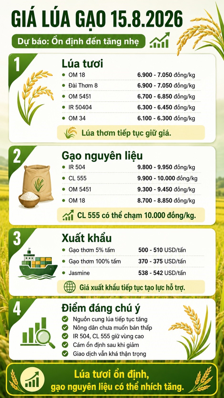 Giá lúa gạo hôm nay 15.8.2026: CL 555 tiến sát 10.000 đồng/kg - ảnh 3