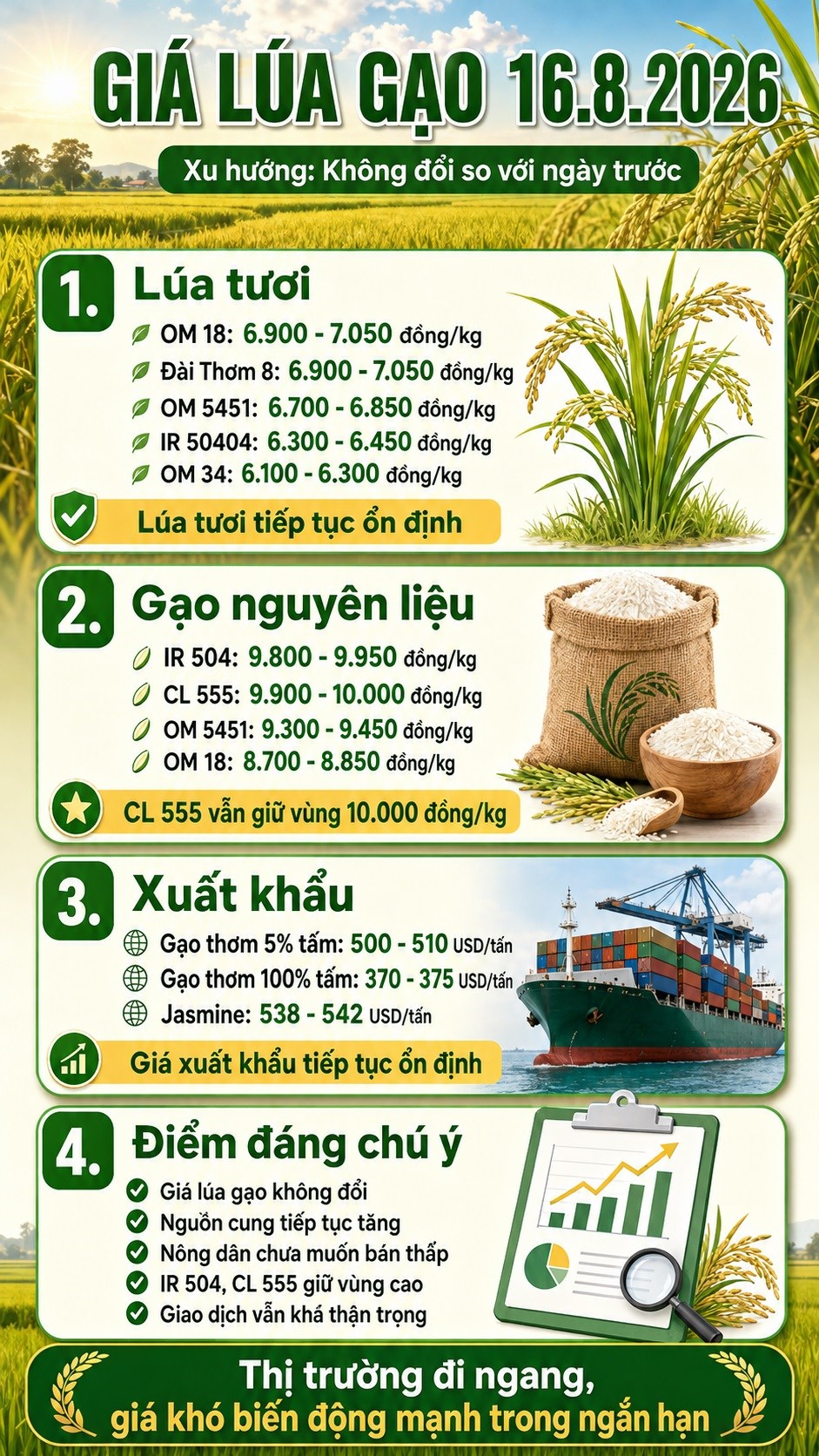 Giá lúa gạo hôm nay 16.8.2026: Thị trường tiếp tục đi ngang - ảnh 3
